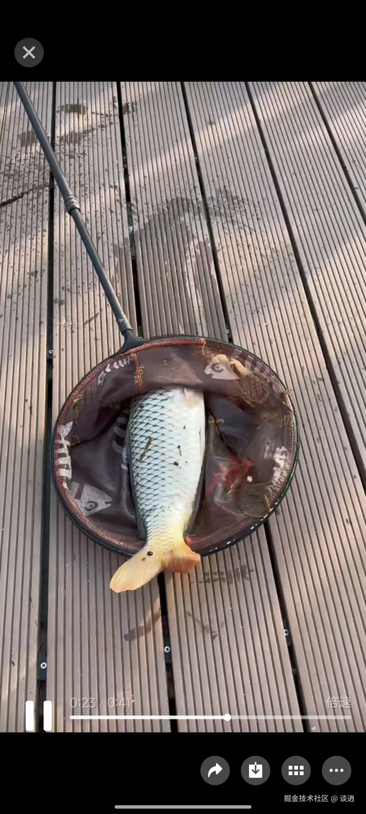 谈逍于2025-11-01 14:14发布的图片