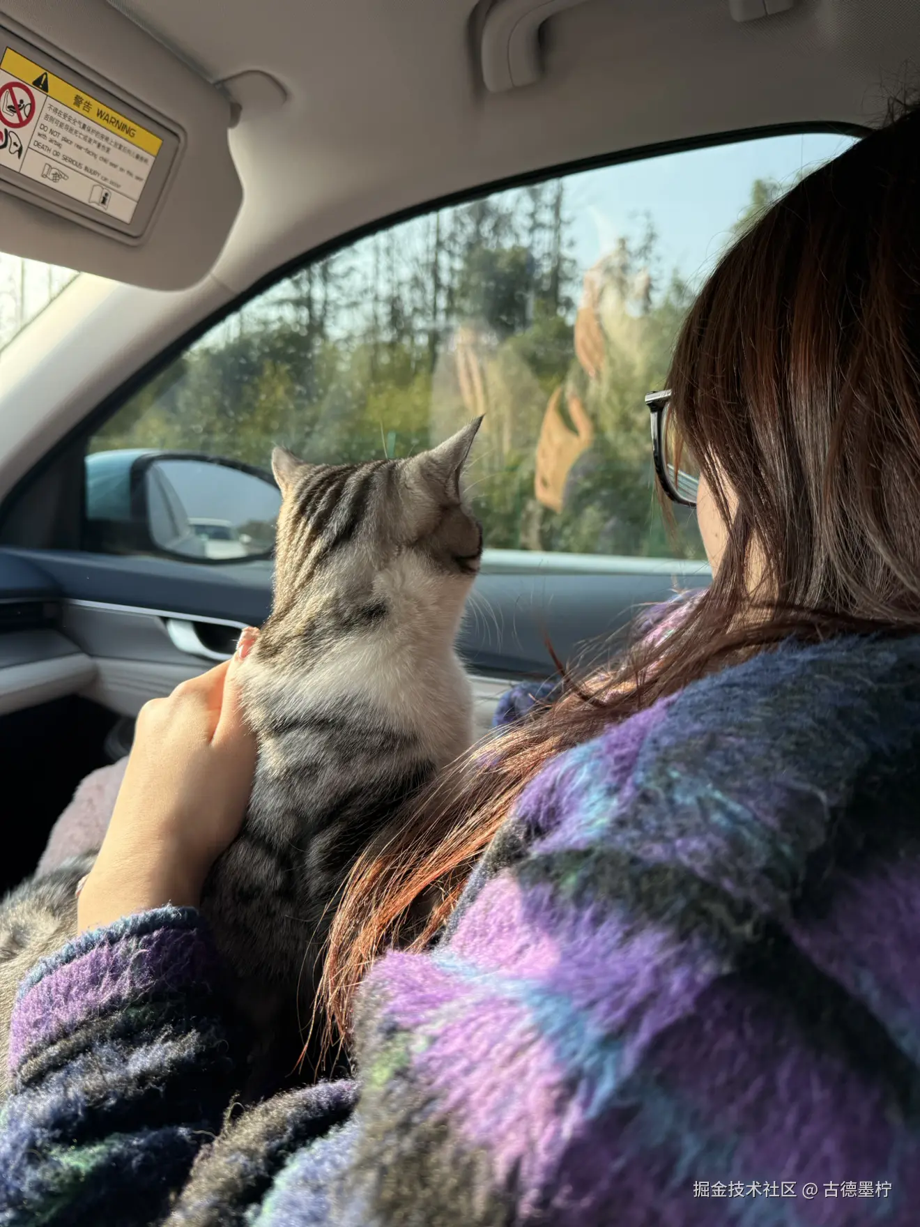 古德墨柠于2026-02-24 16:33发布的图片