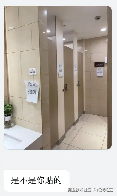 红烧毛豆于2025-08-15 11:05发布的图片