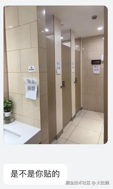 大肚腩于2025-08-15 11:05发布的图片