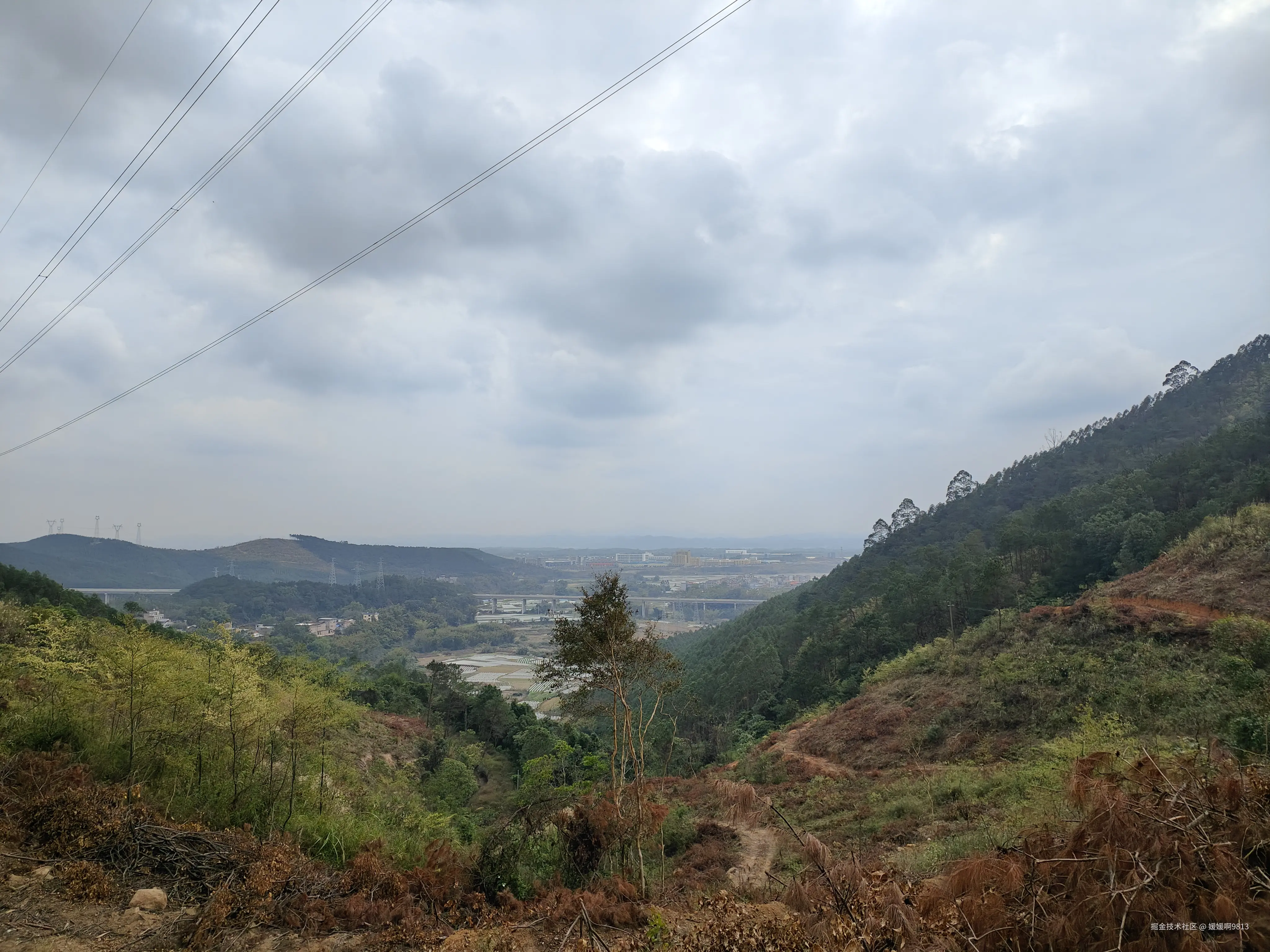 媛媛啊9813于2026-02-22 22:04发布的图片