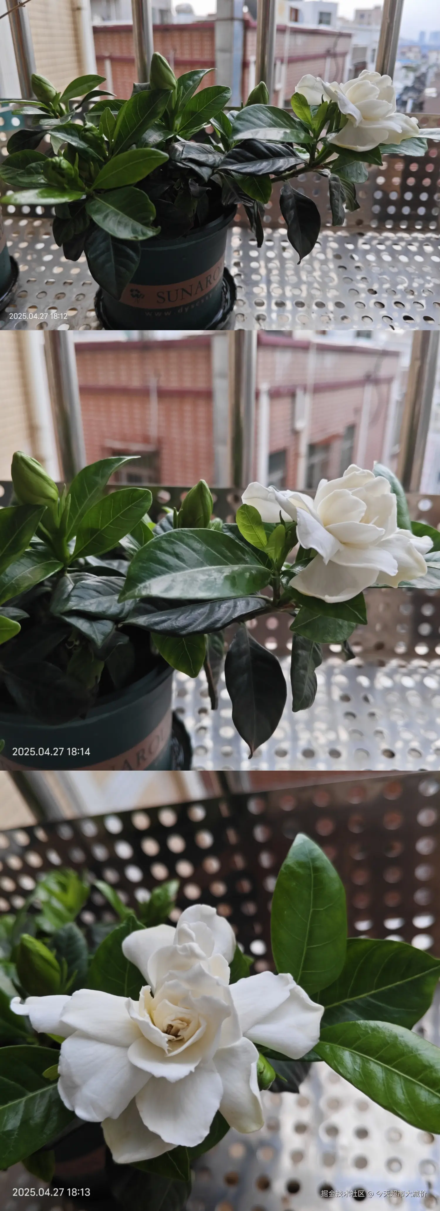 今天超市大减价于2025-04-28 10:30发布的图片