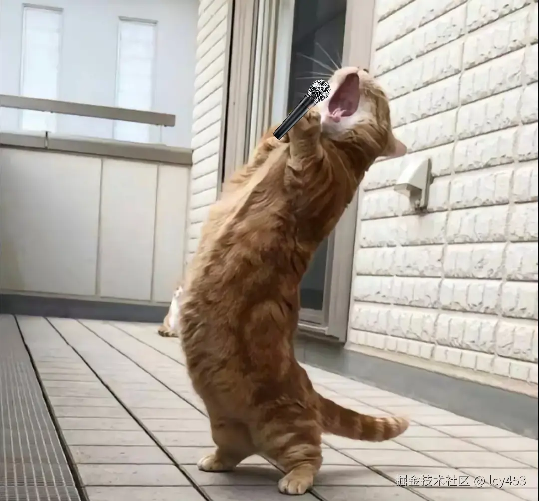 lcy453于2026-03-20 08:58发布的图片