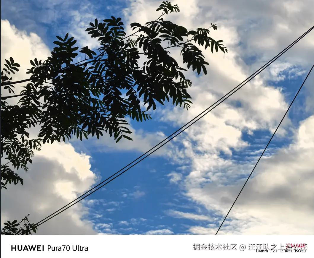 汪汪队之上海分汪于2025-06-13 15:51发布的图片