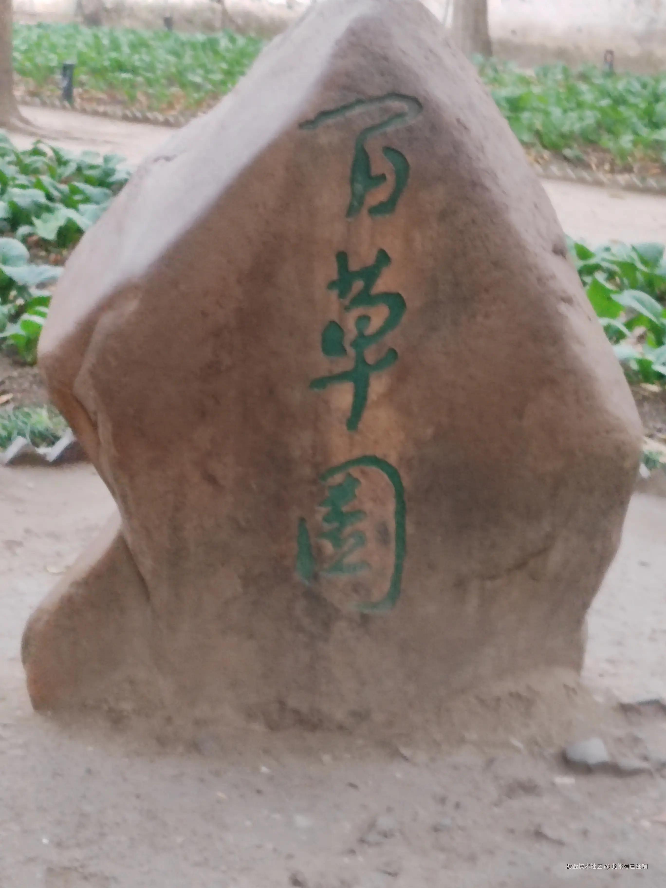 此帐号已注销于2025-12-08 03:06发布的图片