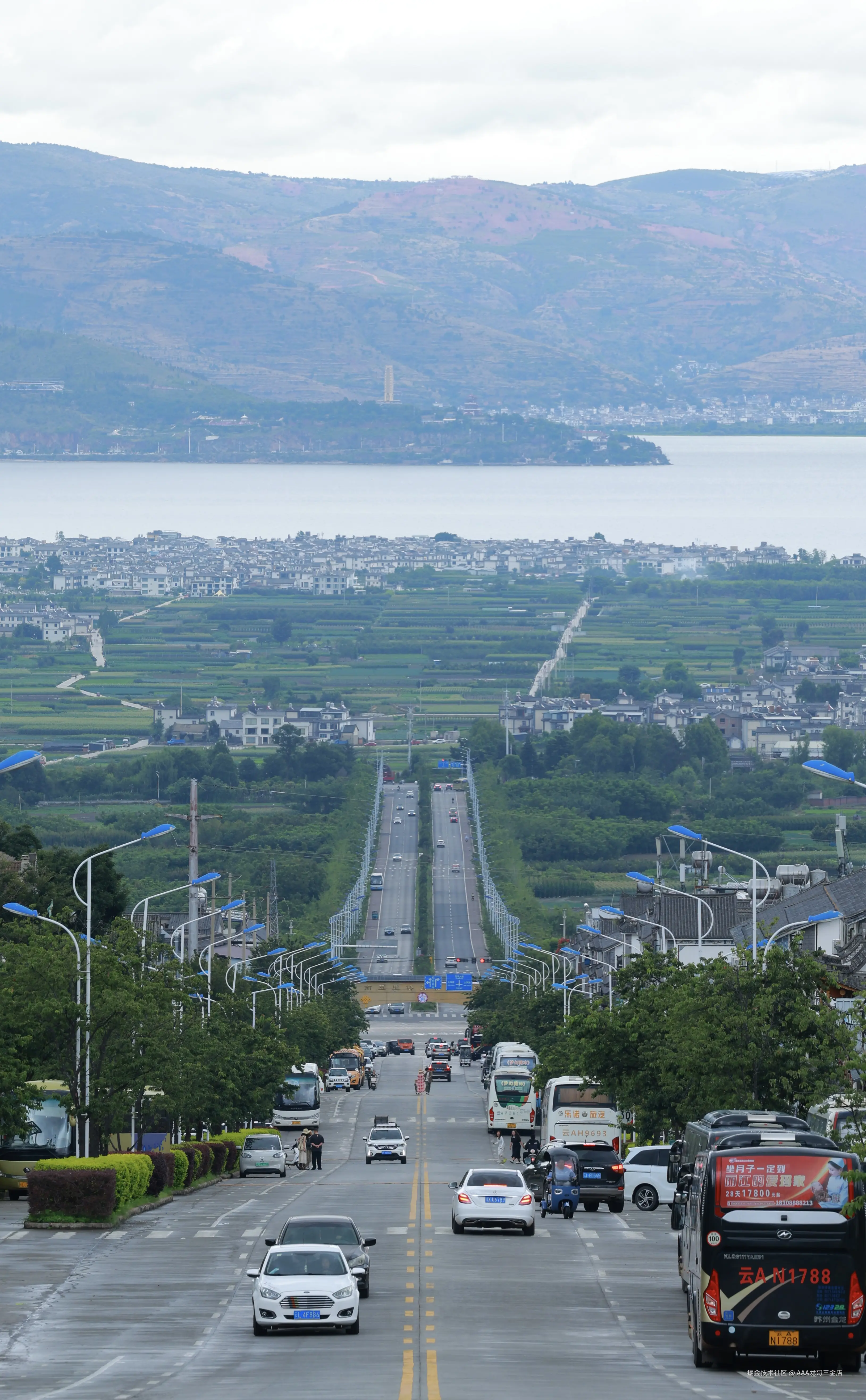 AAA龙哥三金店于2024-10-09 11:12发布的图片