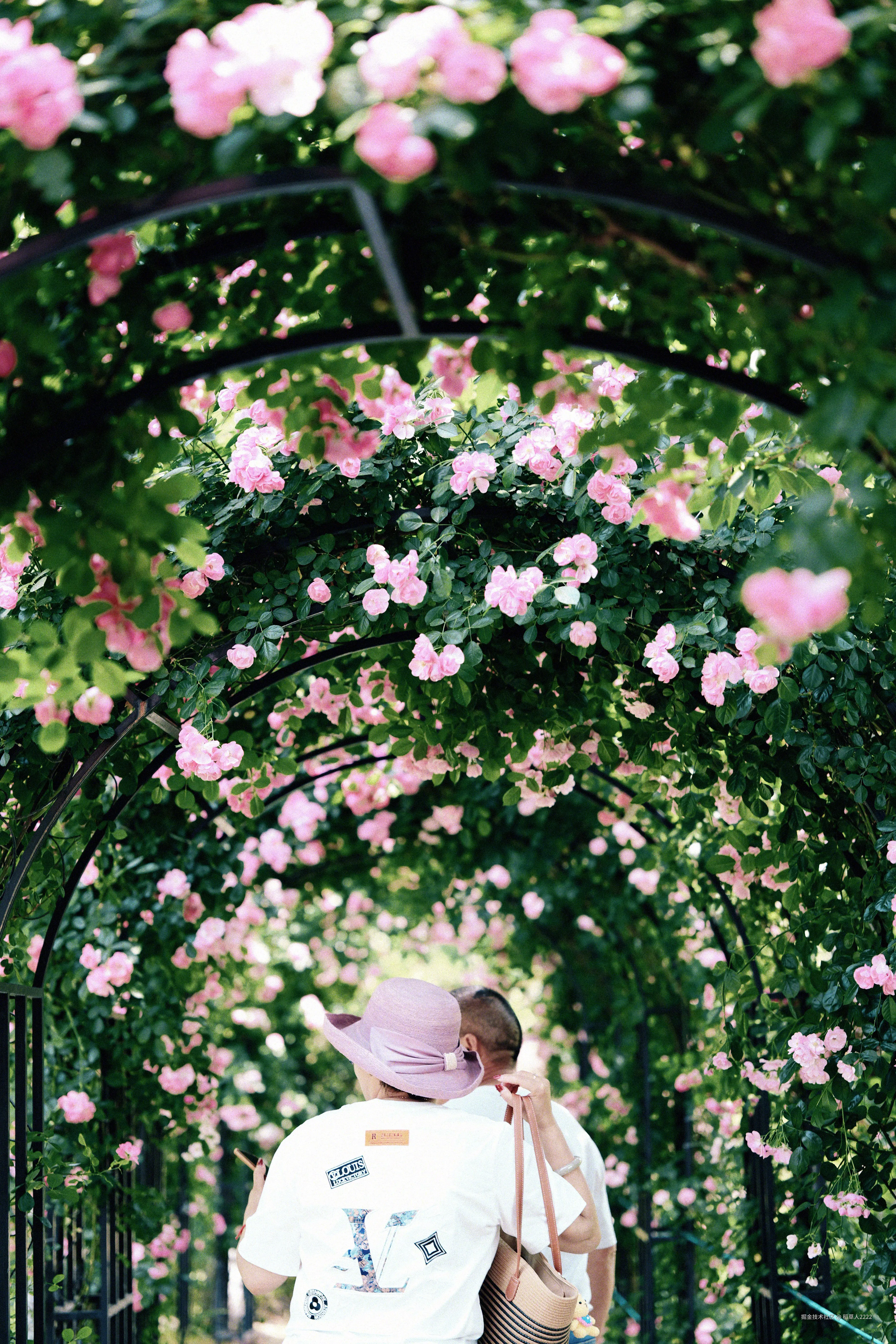 稻草人2222于2025-05-12 10:42发布的图片