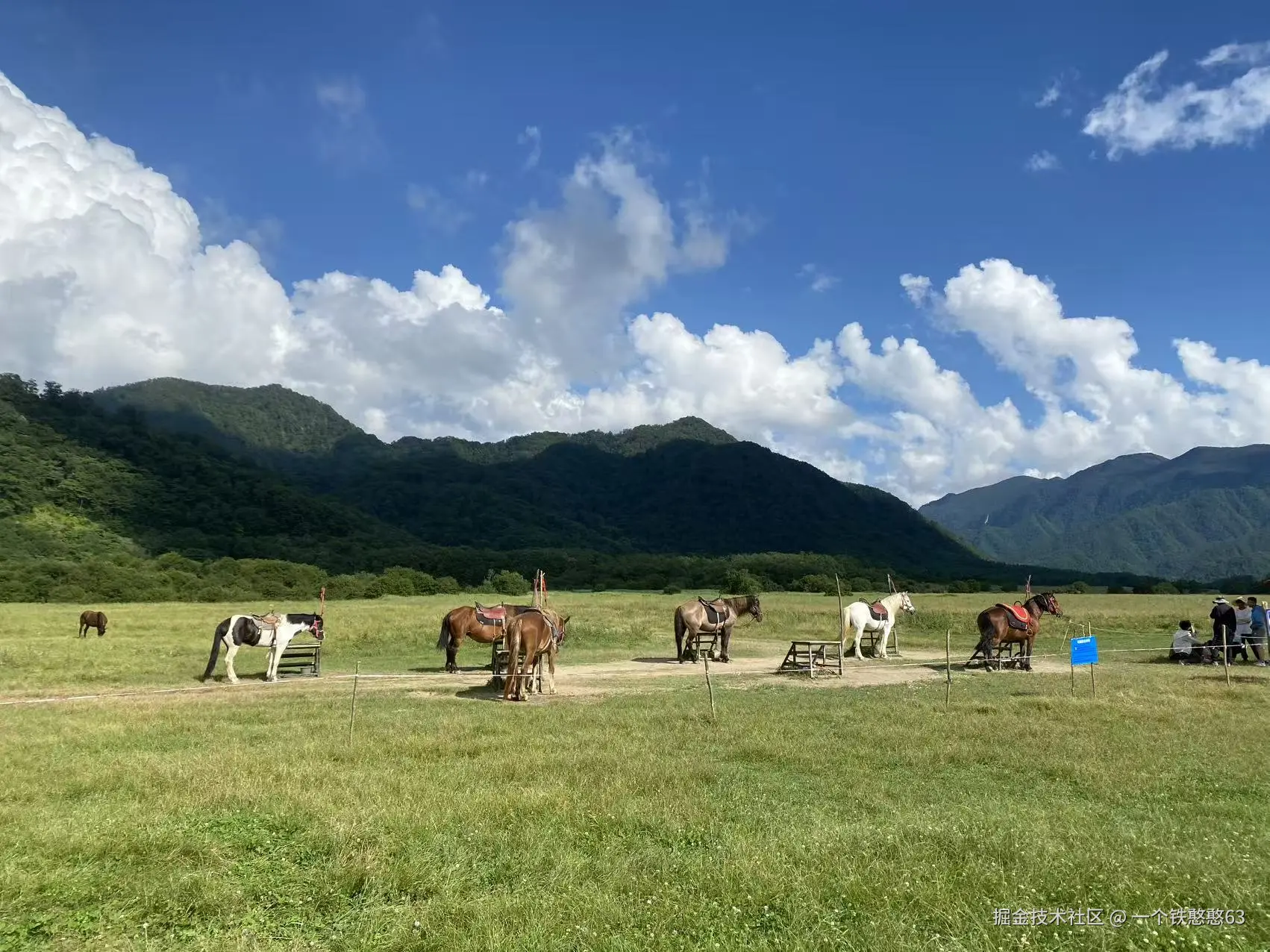 一个铁憨憨63于2026-03-05 14:35发布的图片