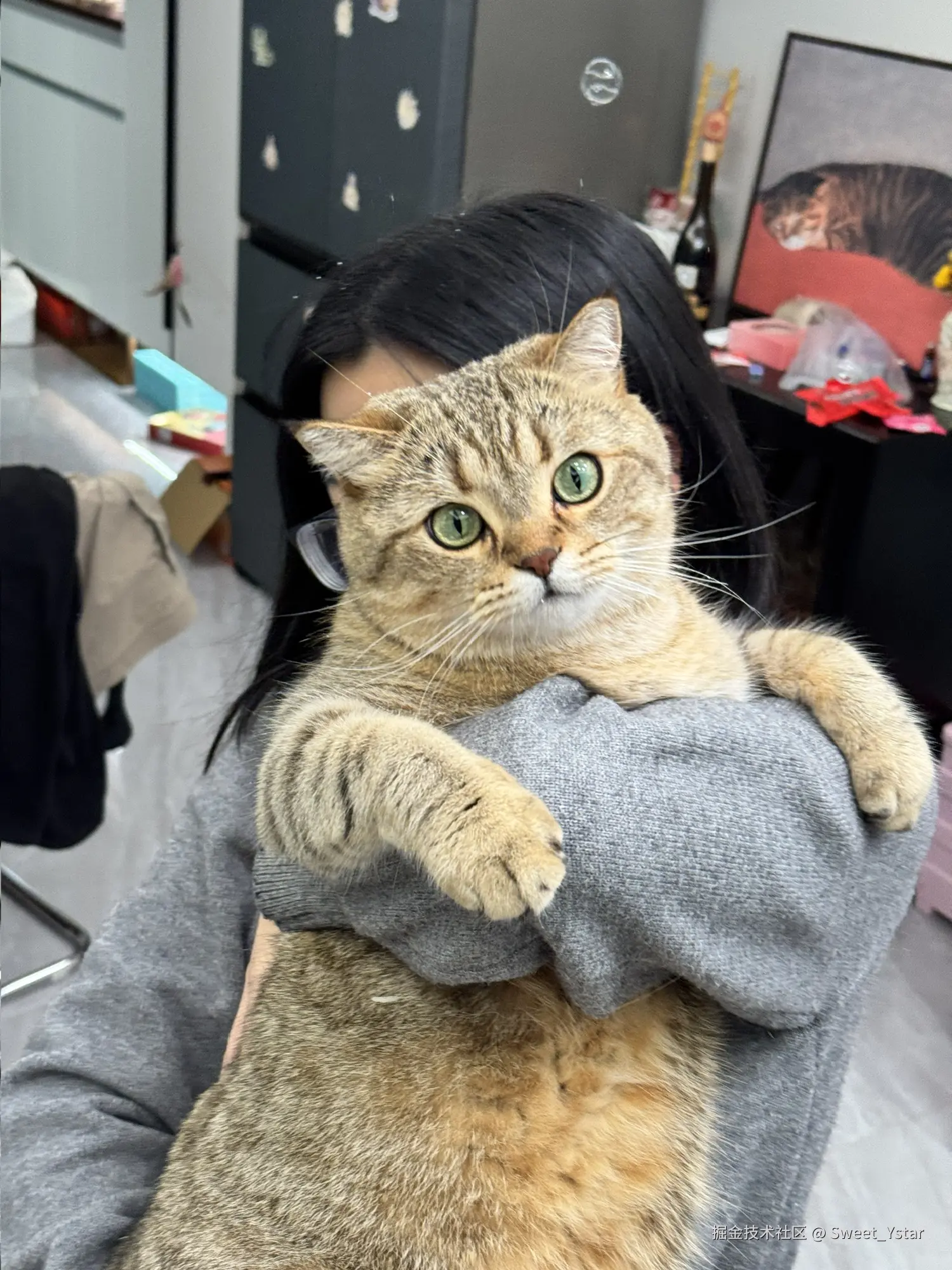 Sweet_Ystar于2026-04-03 09:28发布的图片