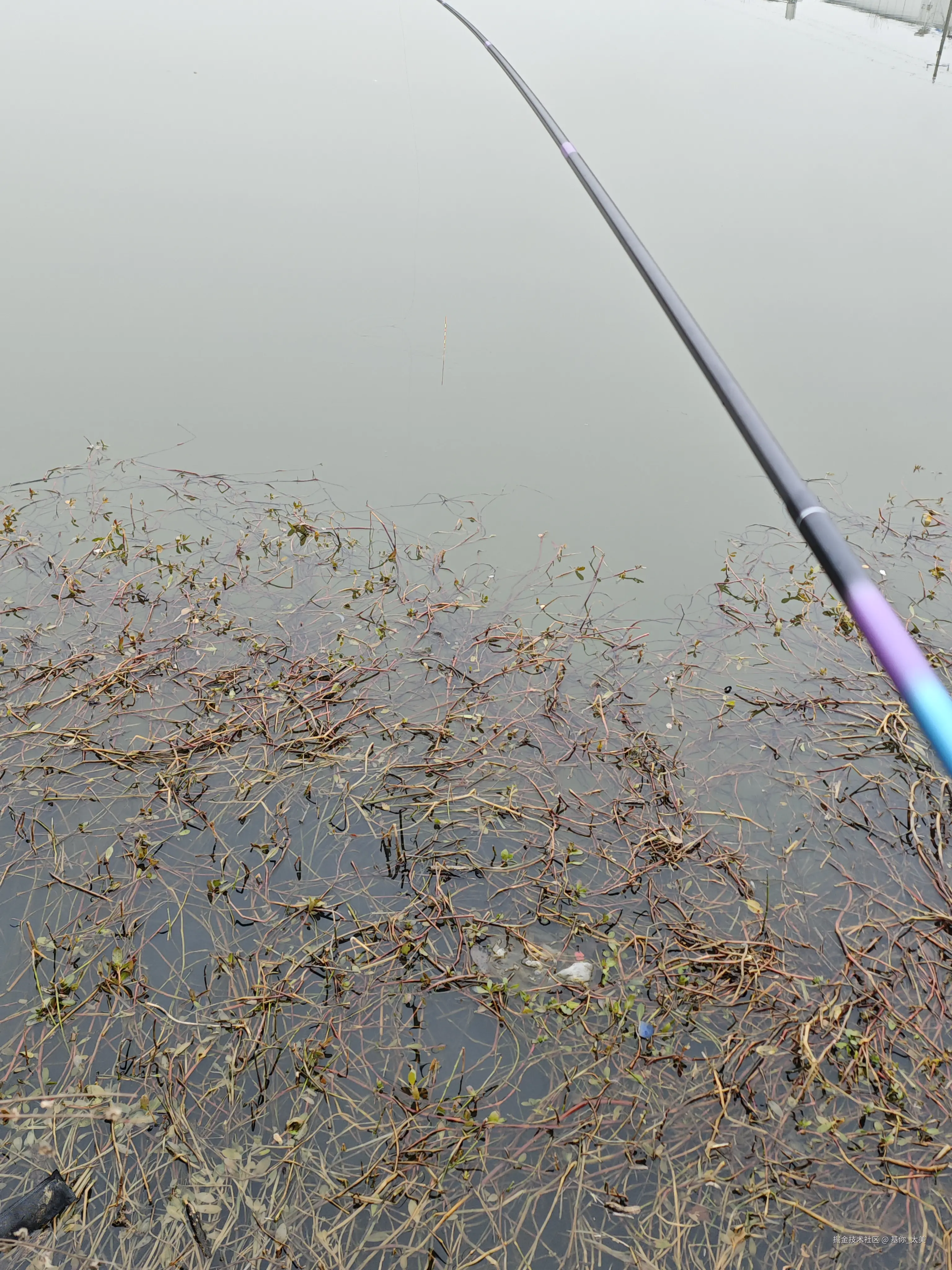 基你_太美于2026-02-05 07:14发布的图片