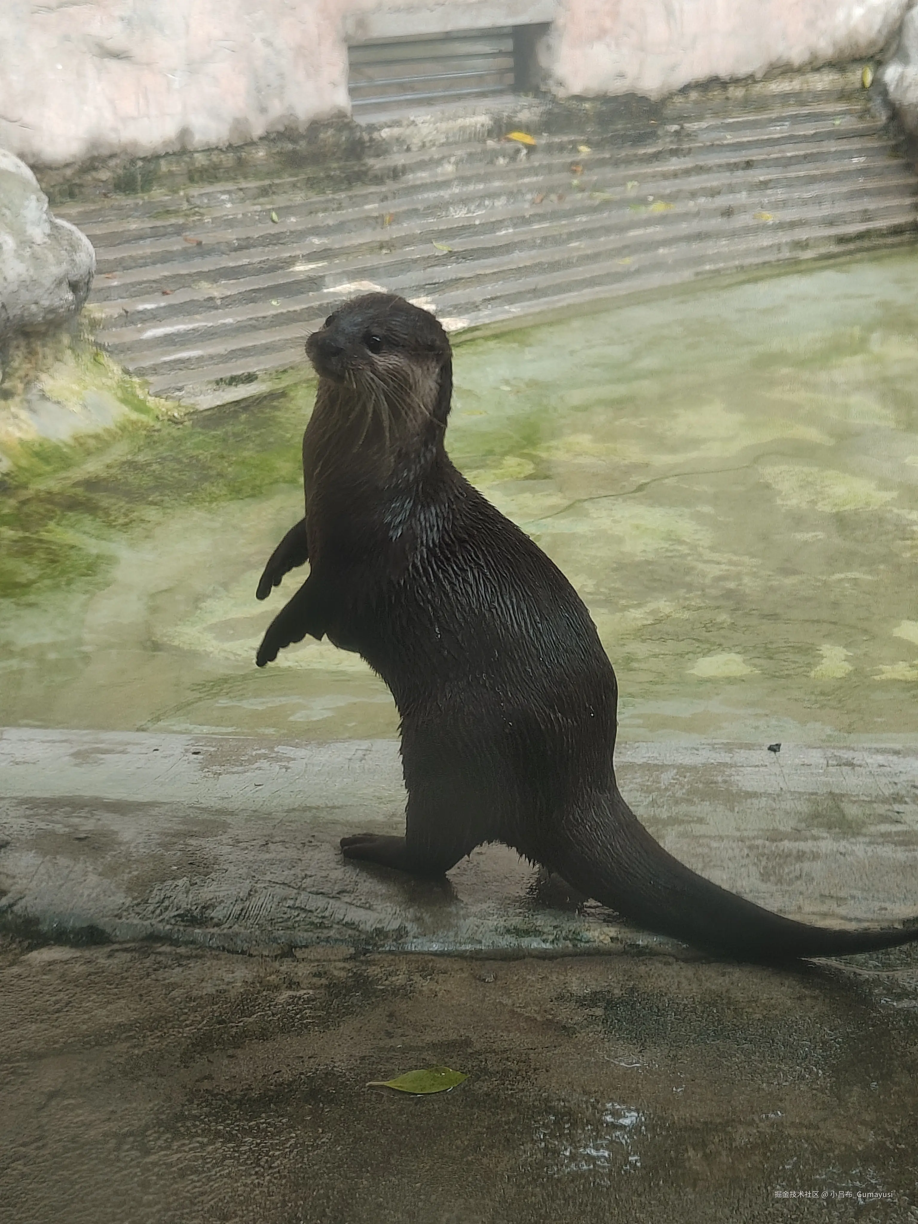 小吕布_Gumayusi于2025-03-03 09:36发布的图片