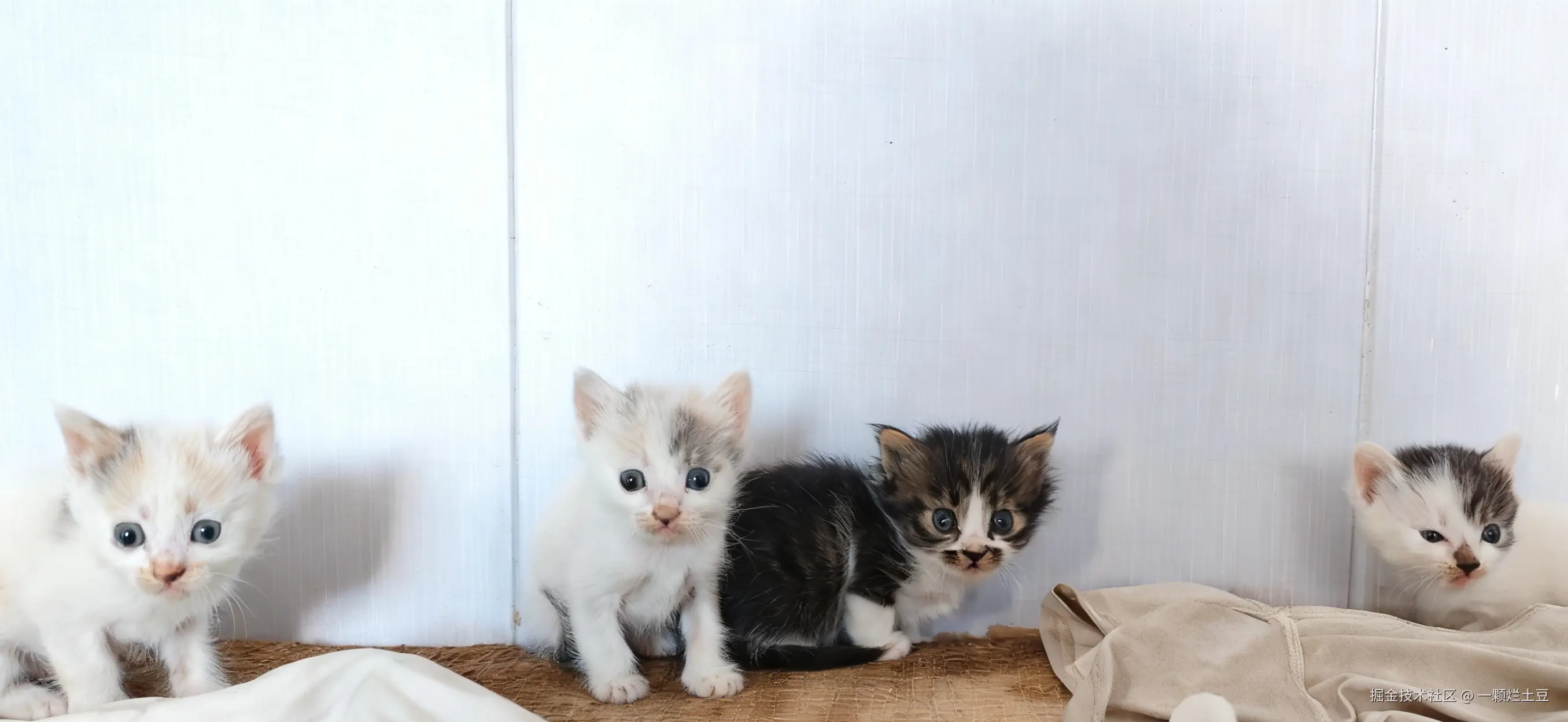 一颗烂土豆于2025-12-02 01:40发布的图片