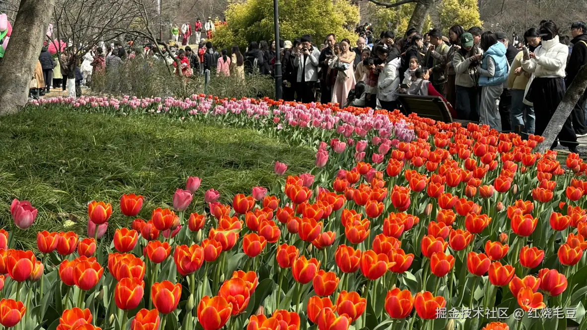 红烧毛豆于2025-03-15 13:54发布的图片