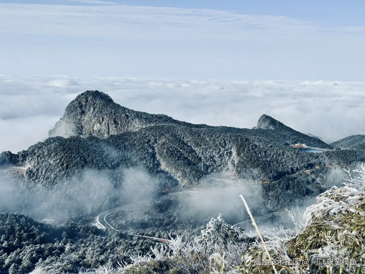 阿飞只想摸鱼于2026-02-11 14:33发布的图片