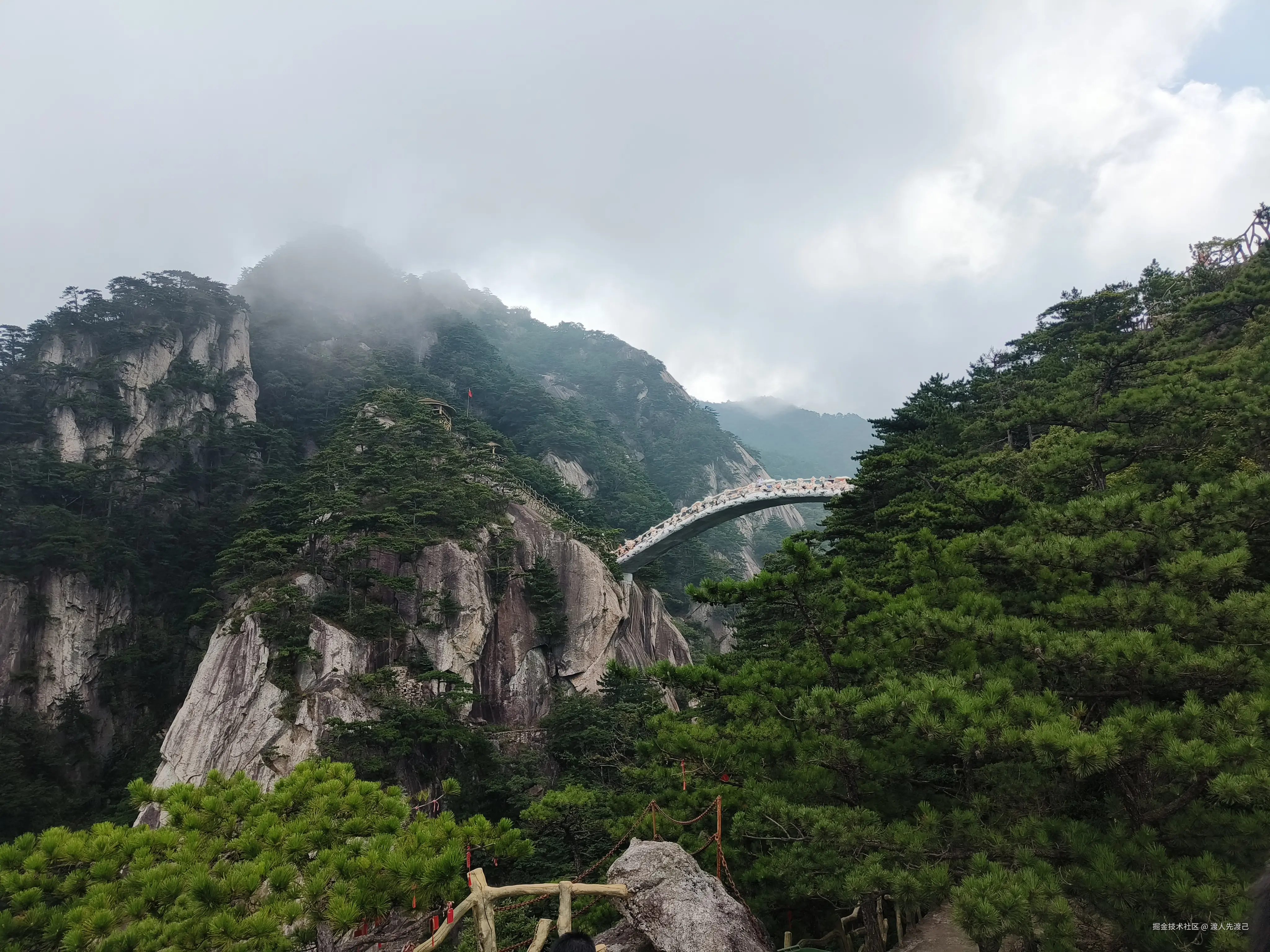 渡人先渡己于2024-08-12 18:19发布的图片