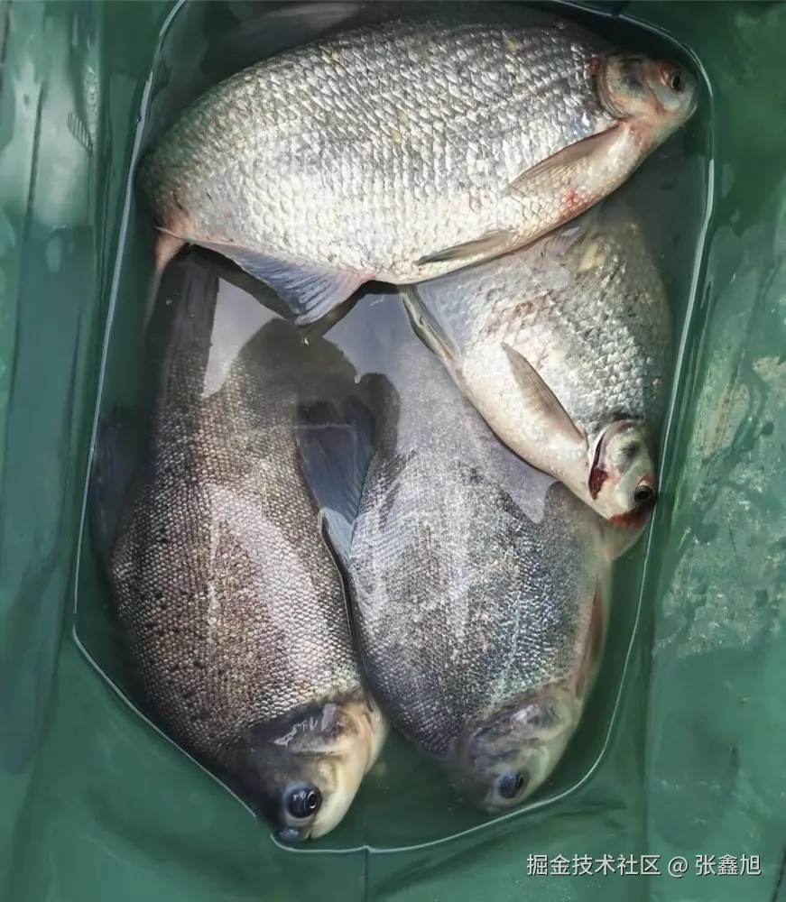 张鑫旭于2025-05-29 15:07发布的图片