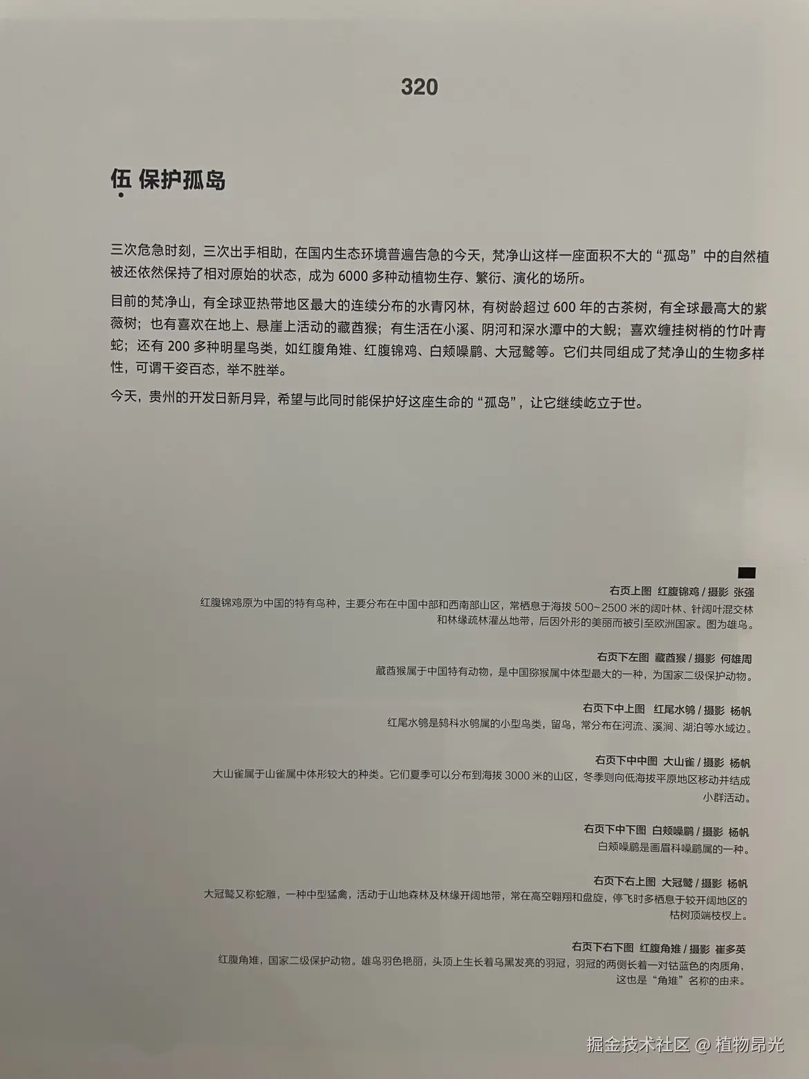 植物昂光于2026-04-08 23:28发布的图片