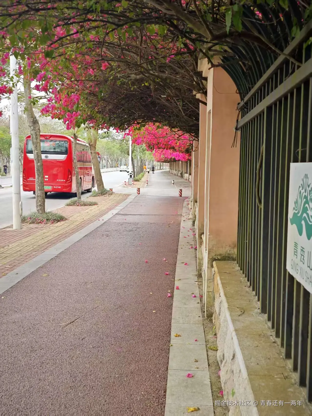 青春还有一两年于2026-03-18 08:37发布的图片