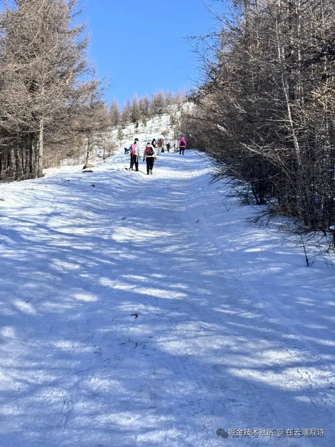 在云端写诗于2026-01-04 10:40发布的图片