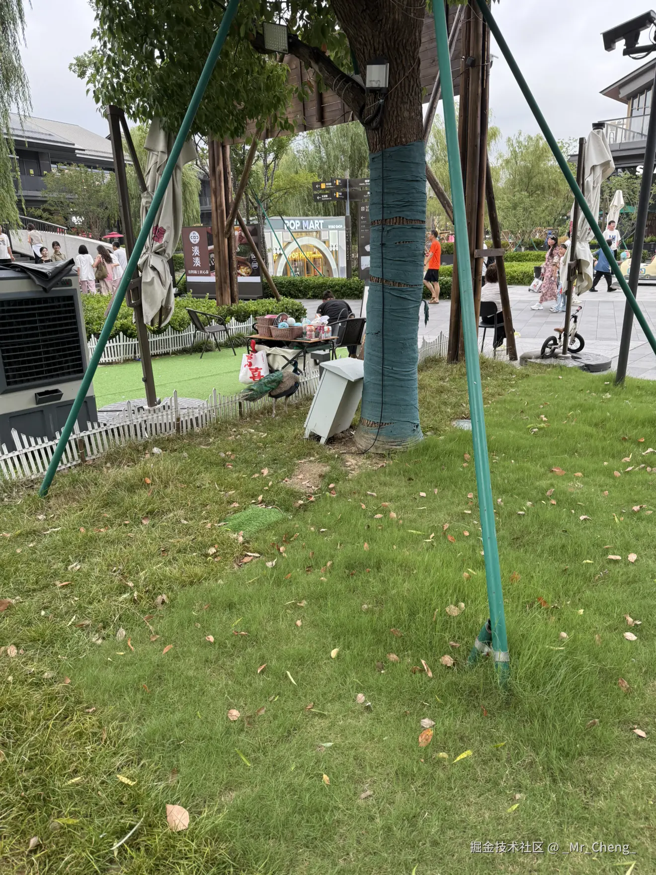 _Mr_Cheng_于2025-06-21 22:37发布的图片