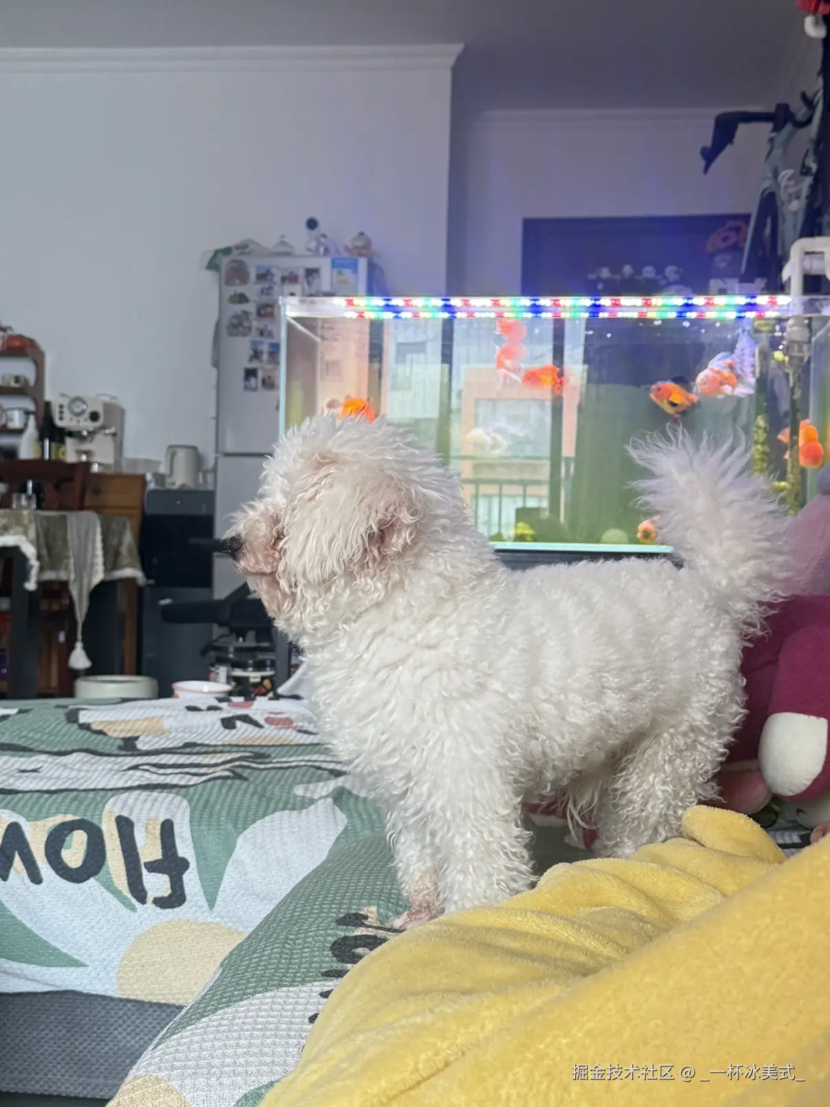 _一杯冰美式_于2025-06-12 11:15发布的图片