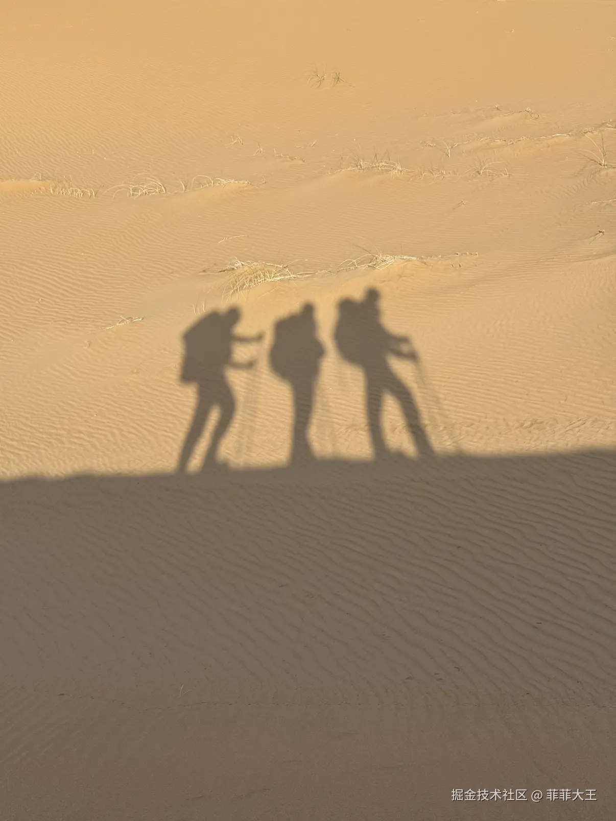 菲菲大王于2025-10-27 13:51发布的图片