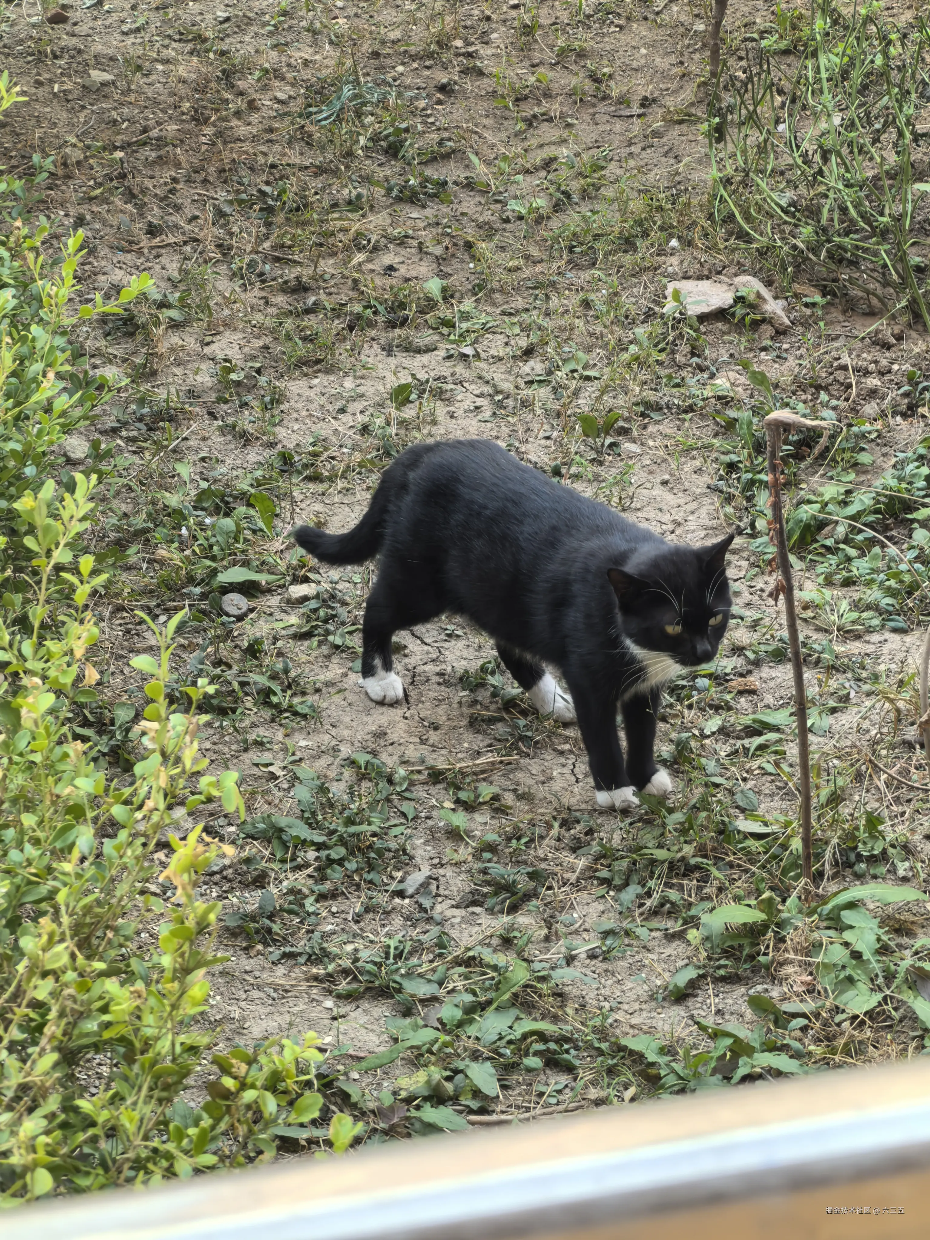 六三五于2024-09-30 09:27发布的图片