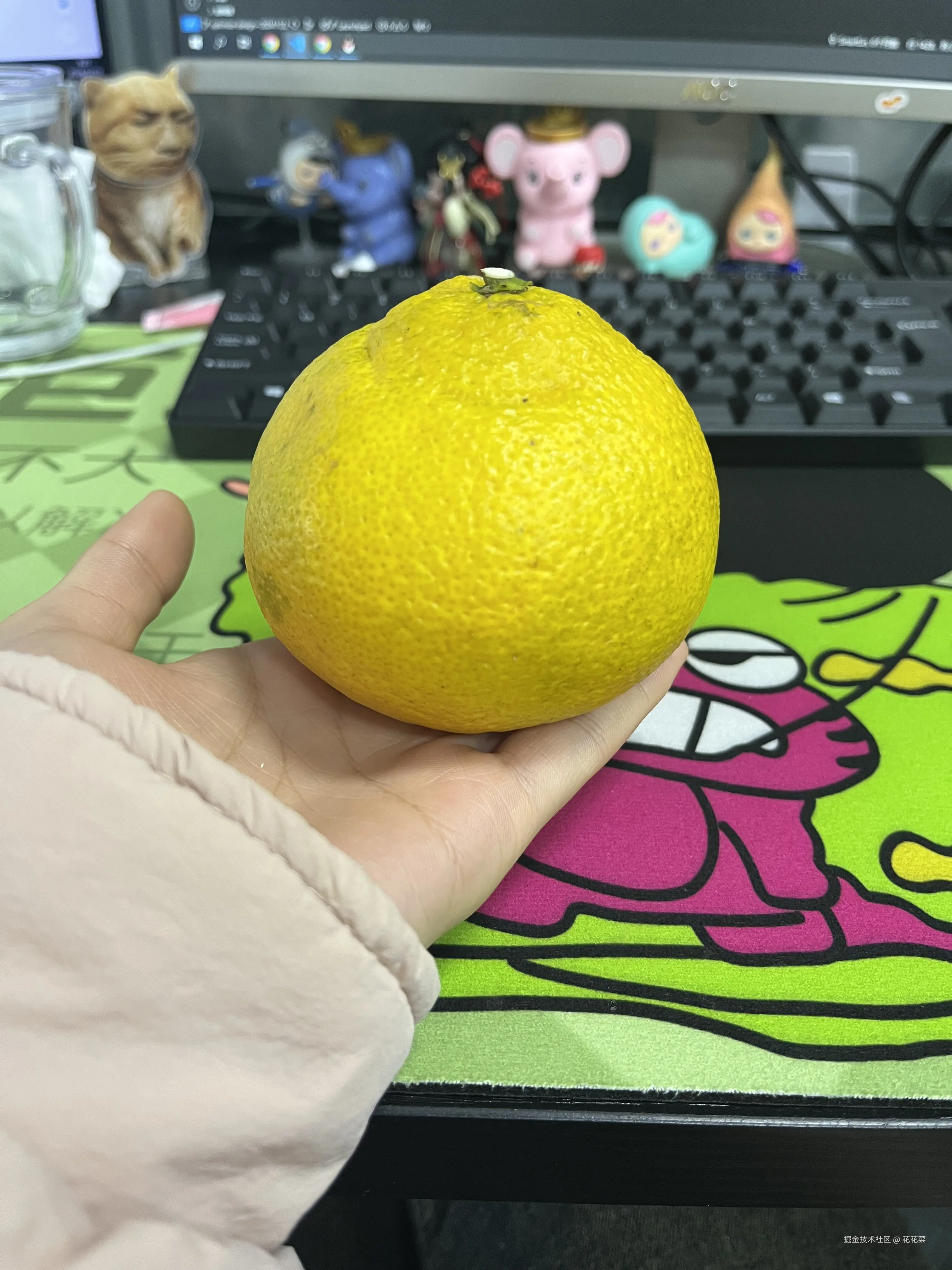 花花菜于2024-12-19 01:22发布的图片