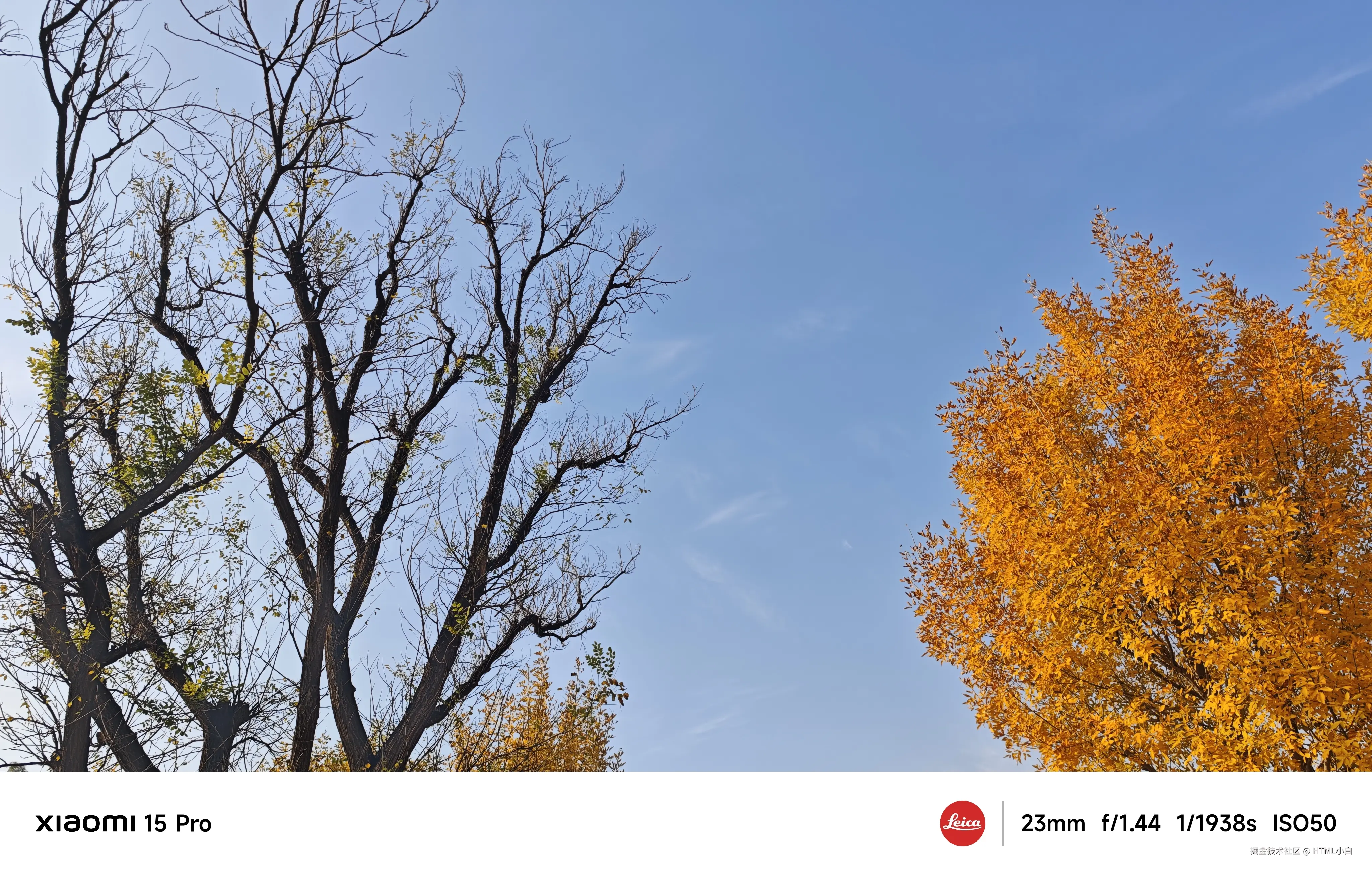 HTML小白于2025-11-03 10:31发布的图片