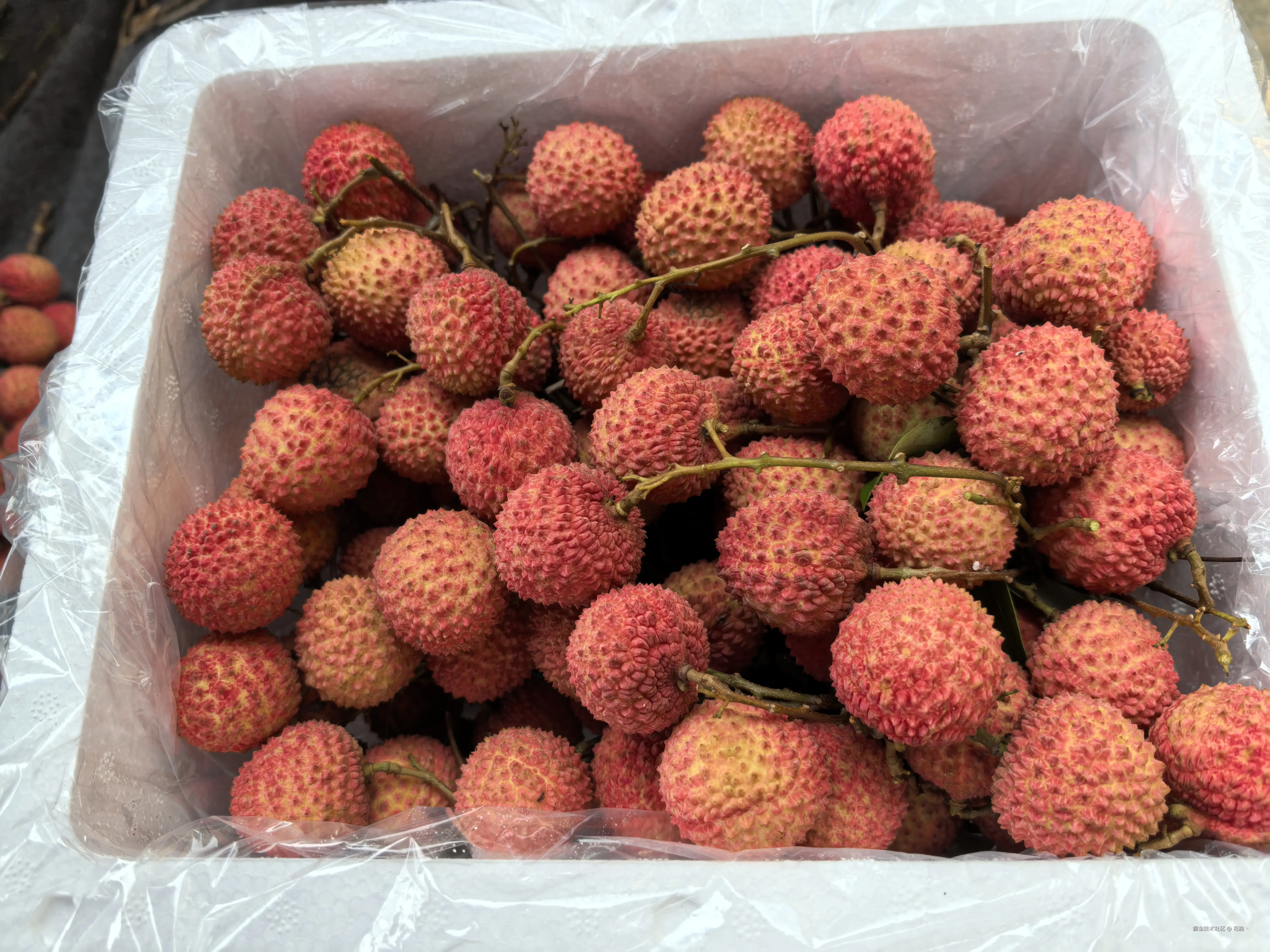 花脸丶于2025-06-07 12:30发布的图片