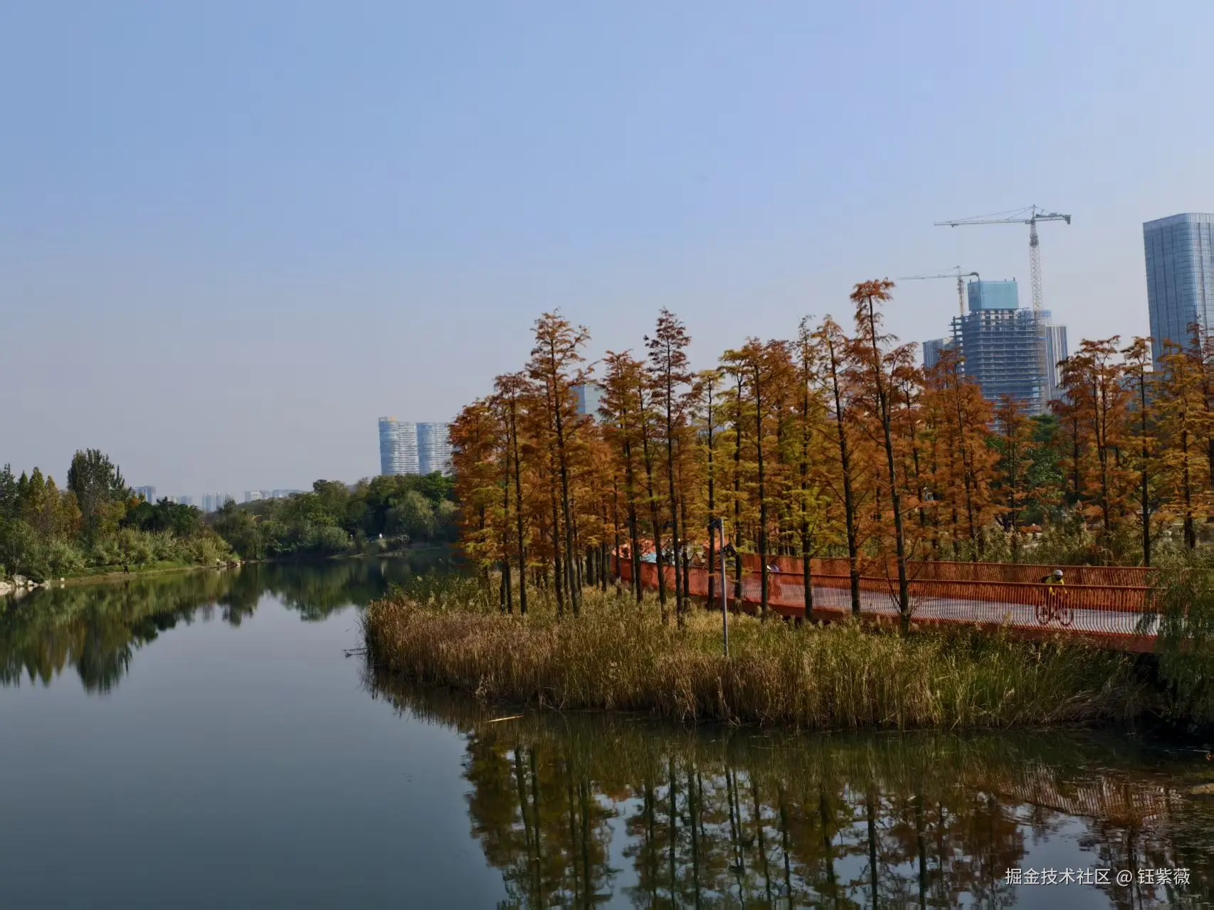 钰紫薇于2025-11-24 09:27发布的图片