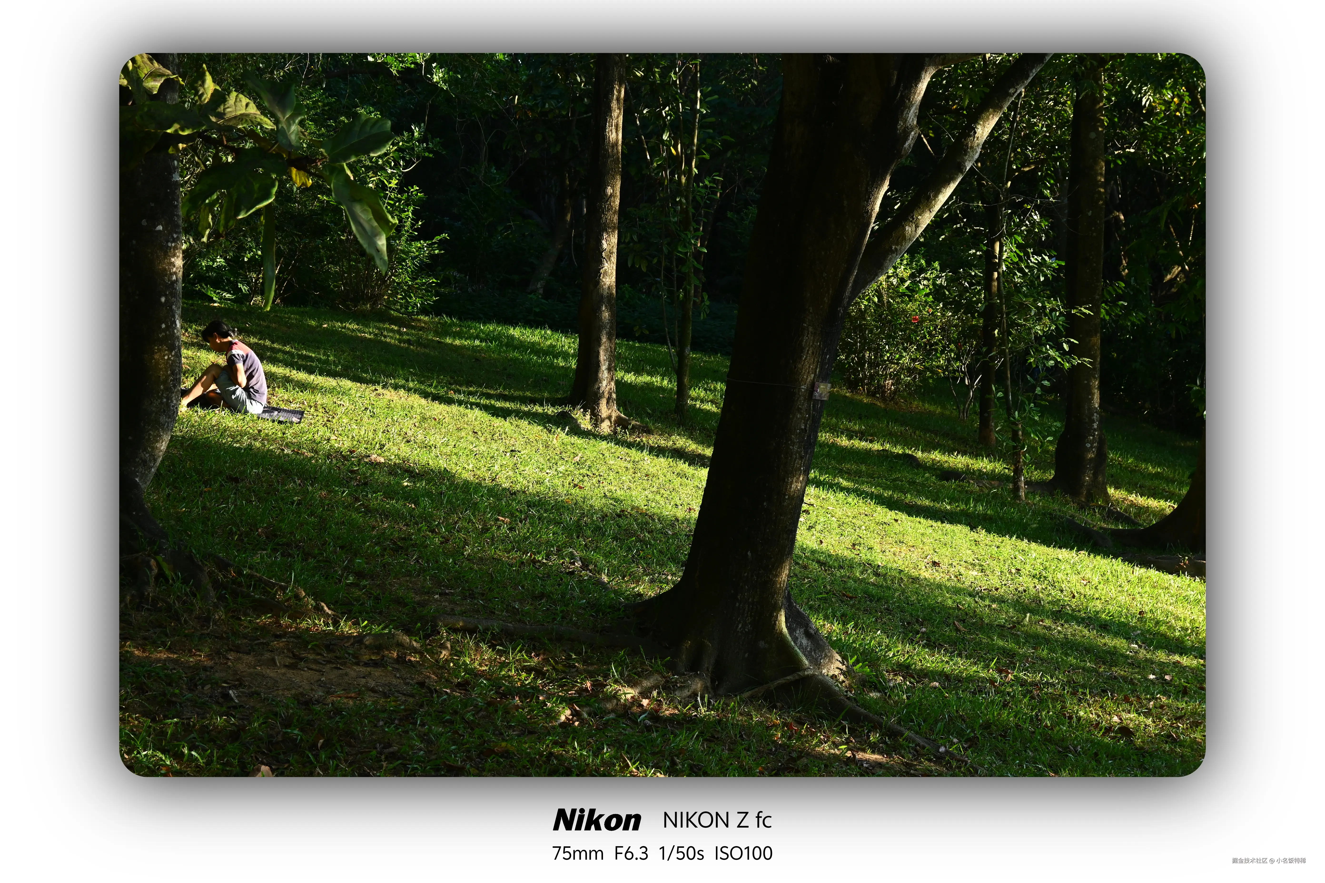 小名饭特稀于2025-11-10 01:59发布的图片