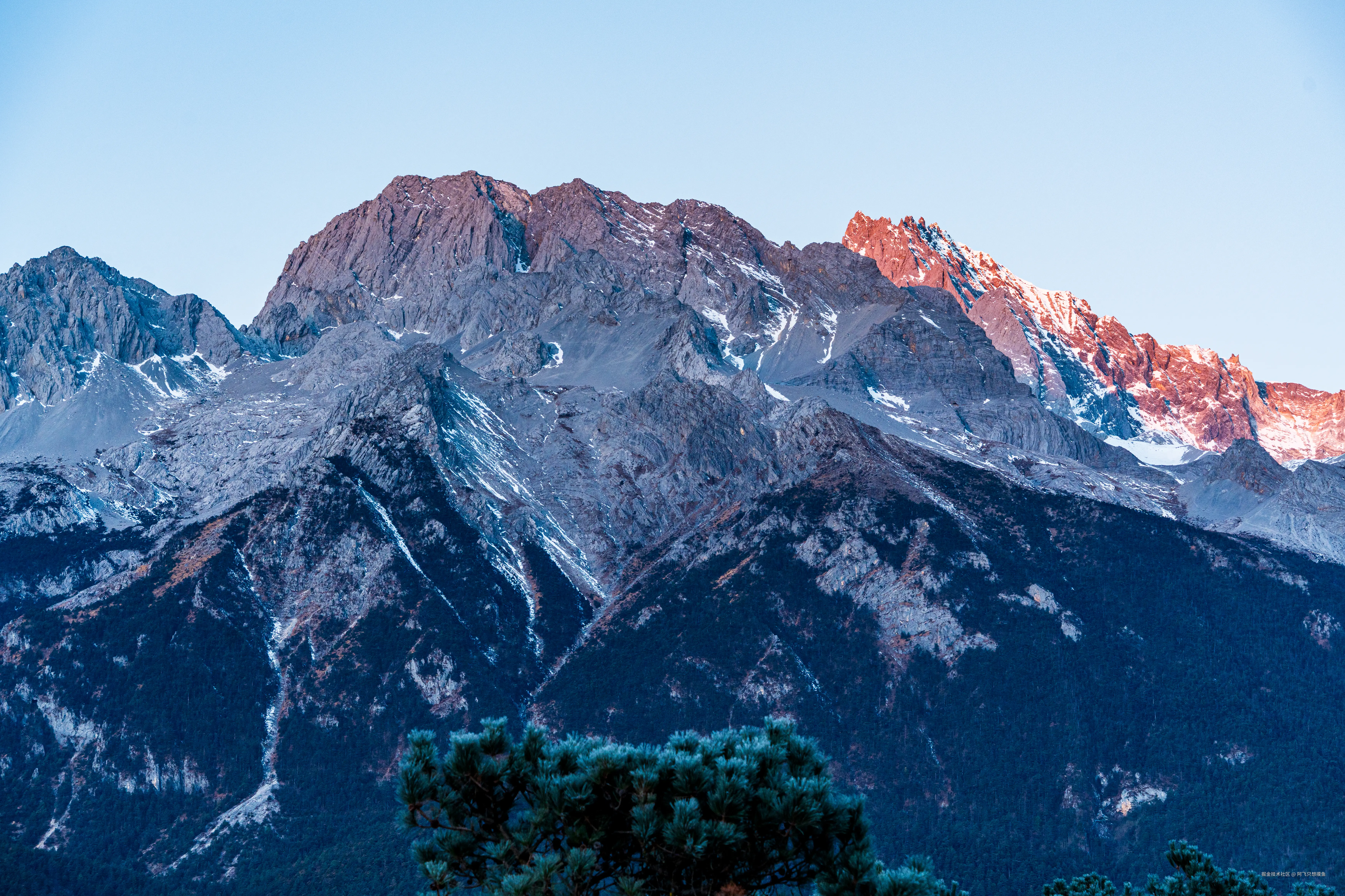 阿飞只想摸鱼于2026-02-11 14:53发布的图片