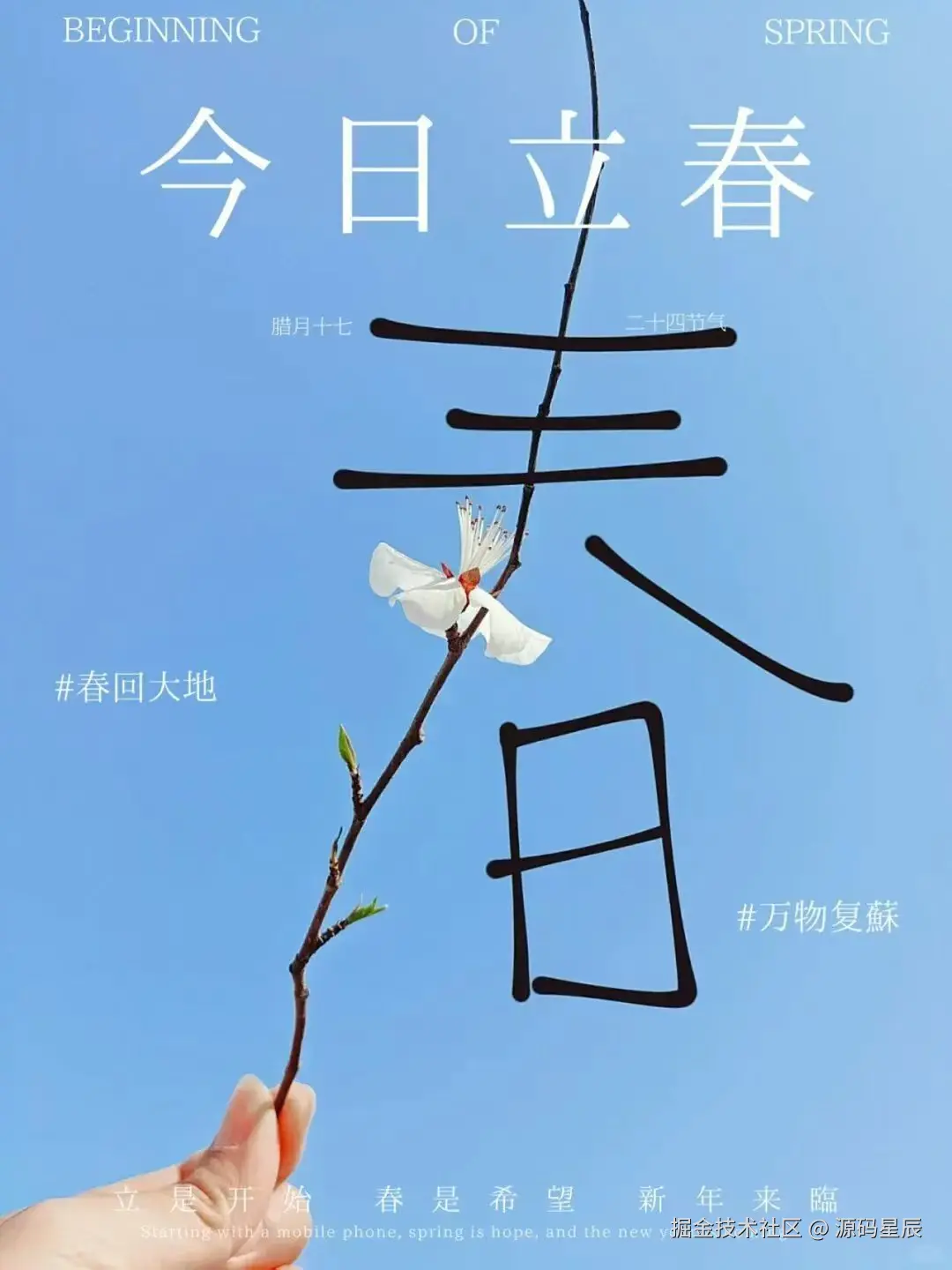 源码星辰于2026-02-04 09:07发布的图片