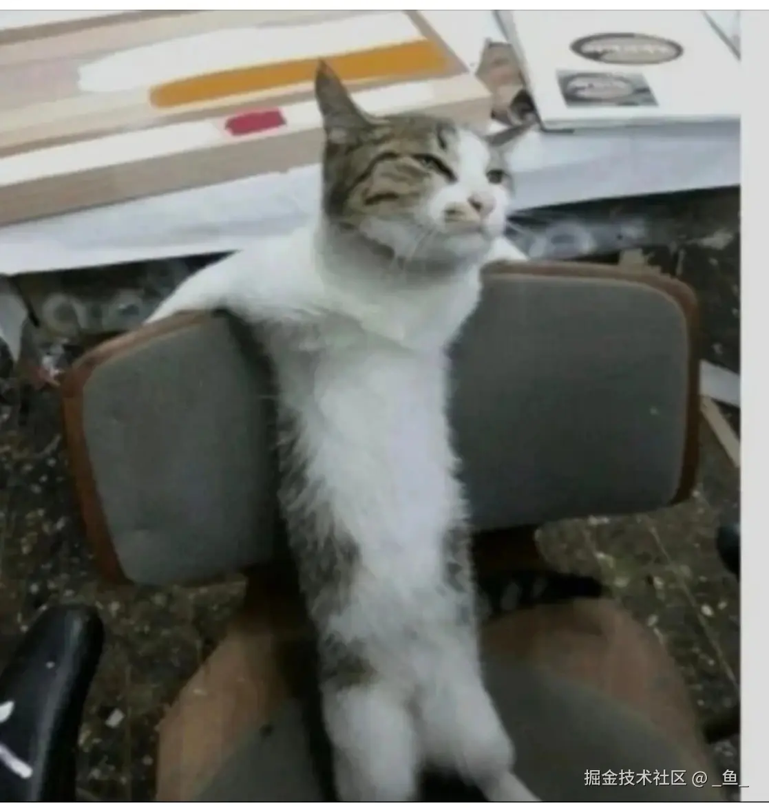 _鱼_于2024-07-26 09:45发布的图片