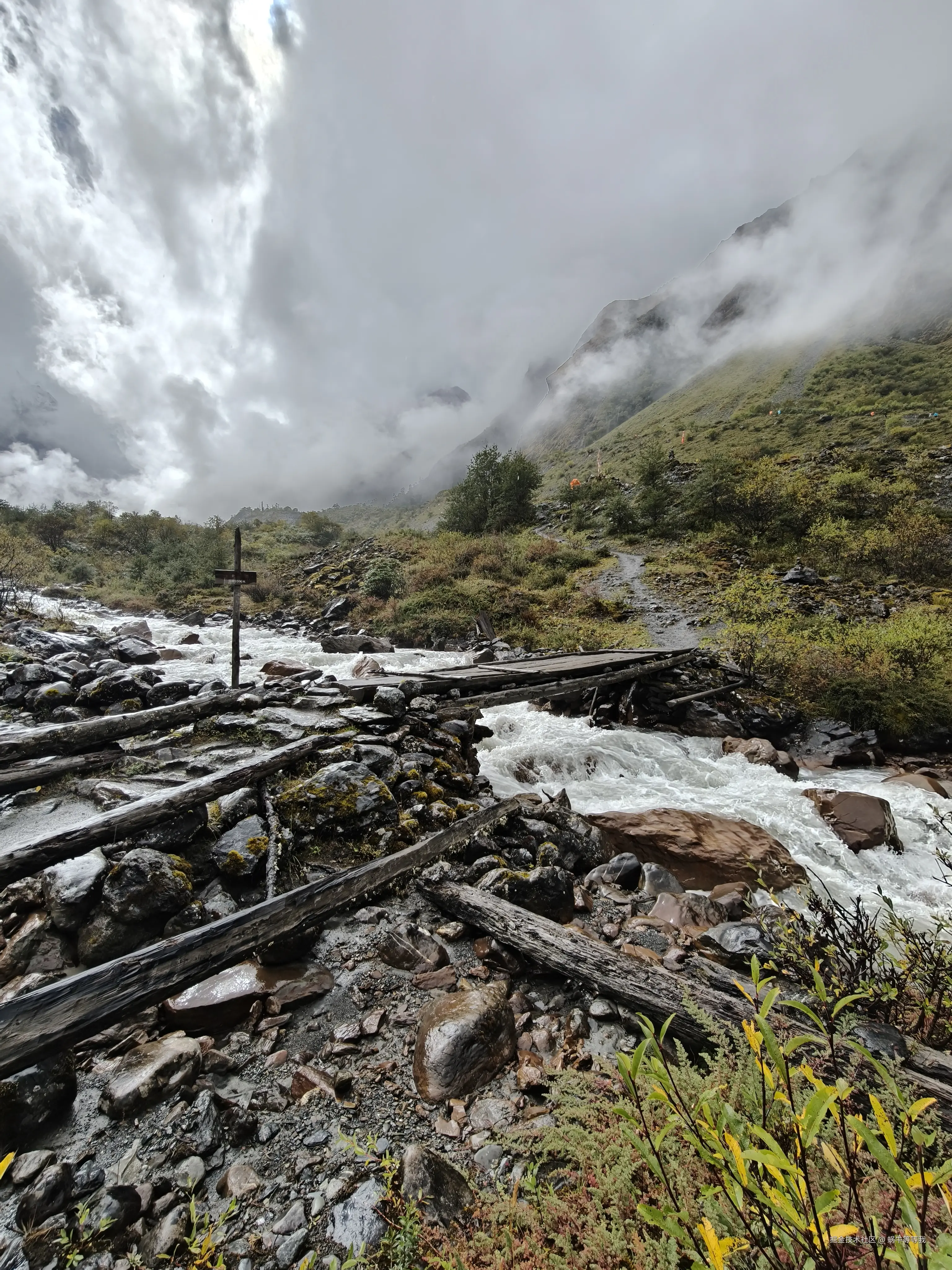 蜗牛等等我于2025-10-09 09:03发布的图片