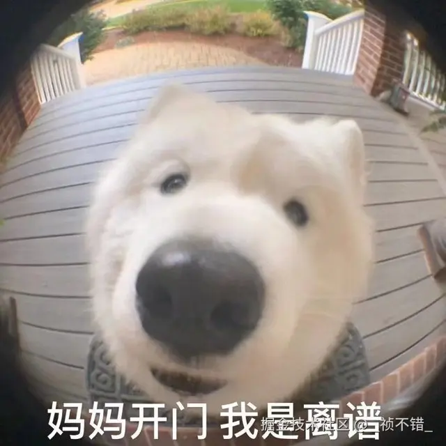 _祯不错_于2024-07-24 06:30发布的图片