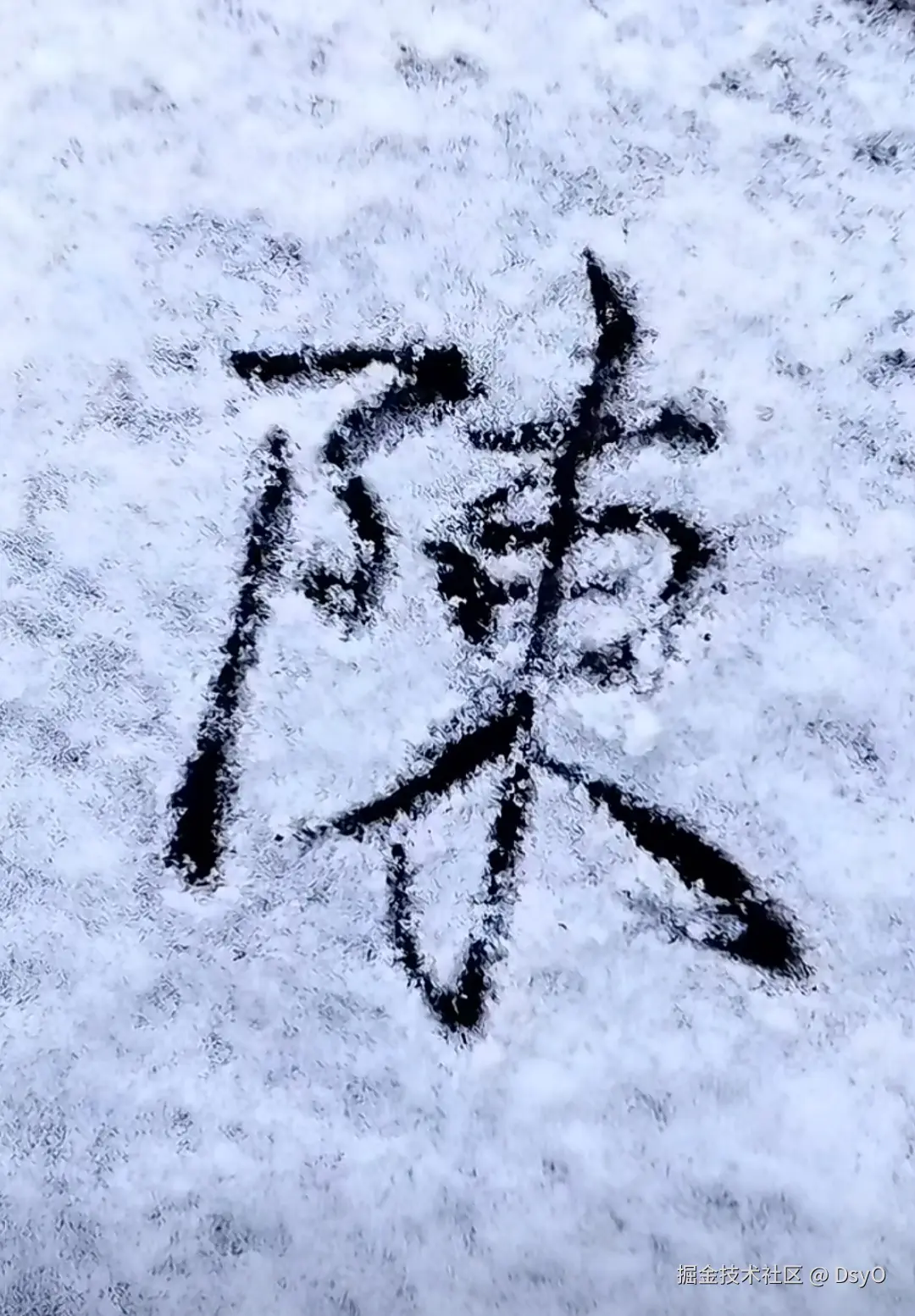 DsyO于2026-02-01 16:38发布的图片