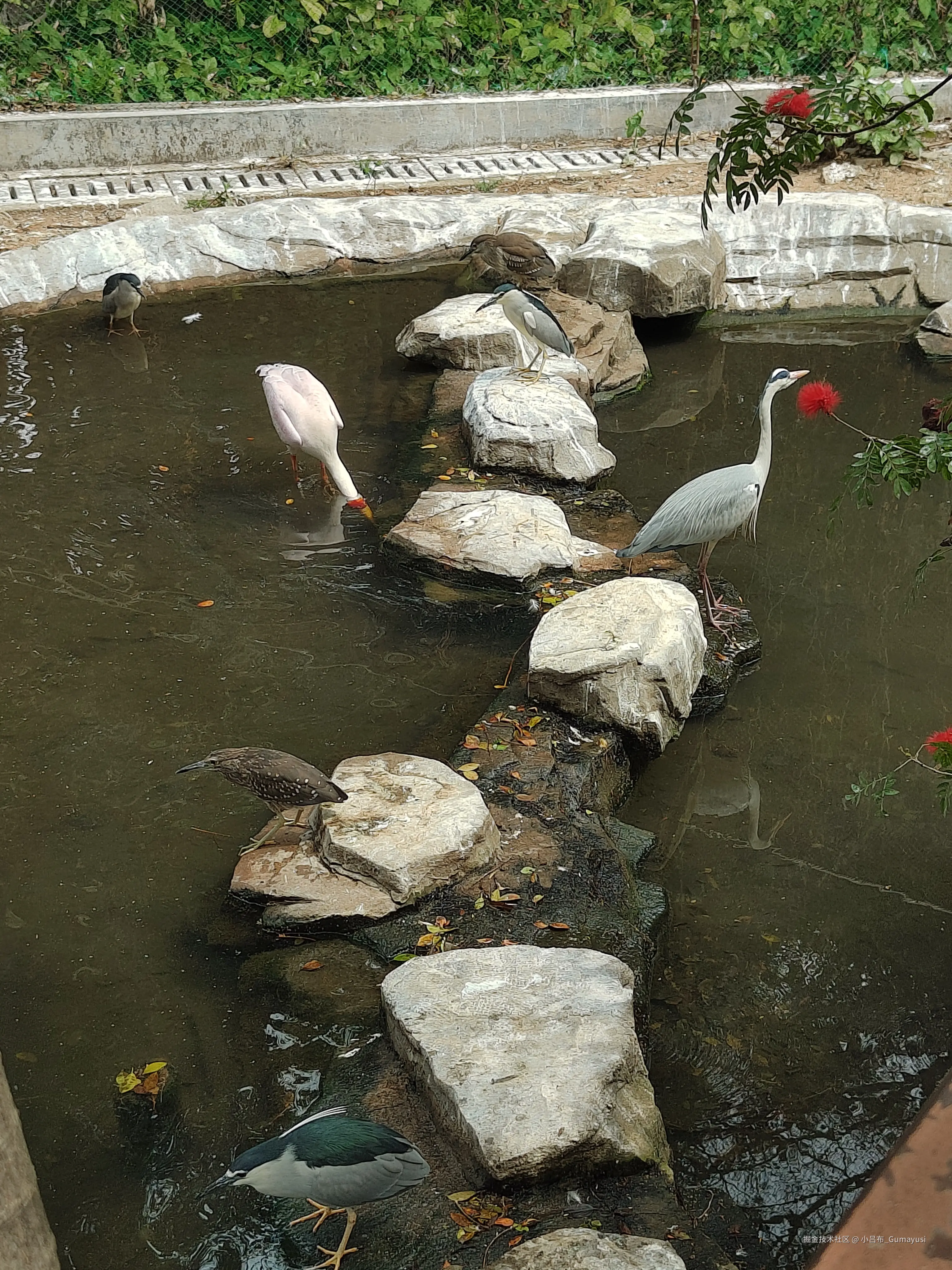 小吕布_Gumayusi于2025-03-03 09:36发布的图片