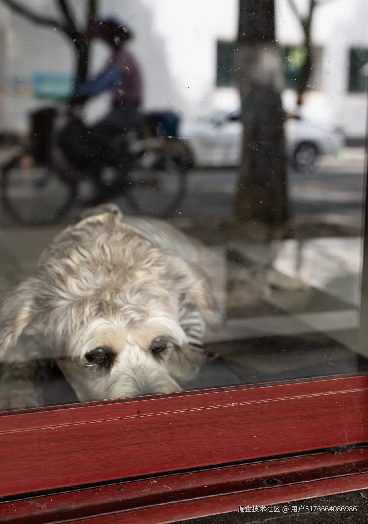 用户5176664086986于2025-06-23 13:09发布的图片