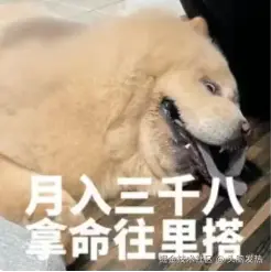 头脑发热于2024-11-14 15:01发布的图片