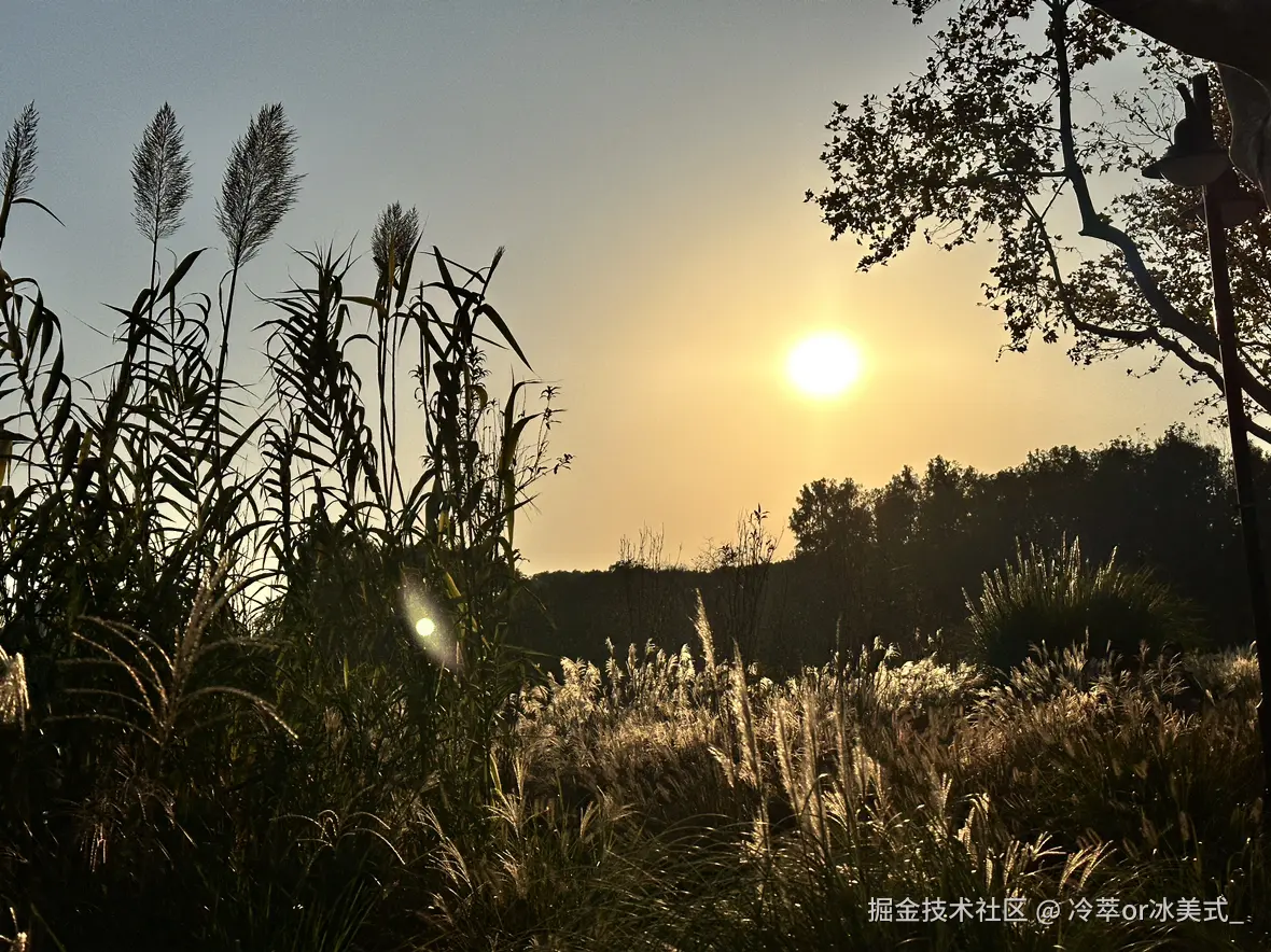 冷萃or冰美式_于2024-12-02 13:09发布的图片