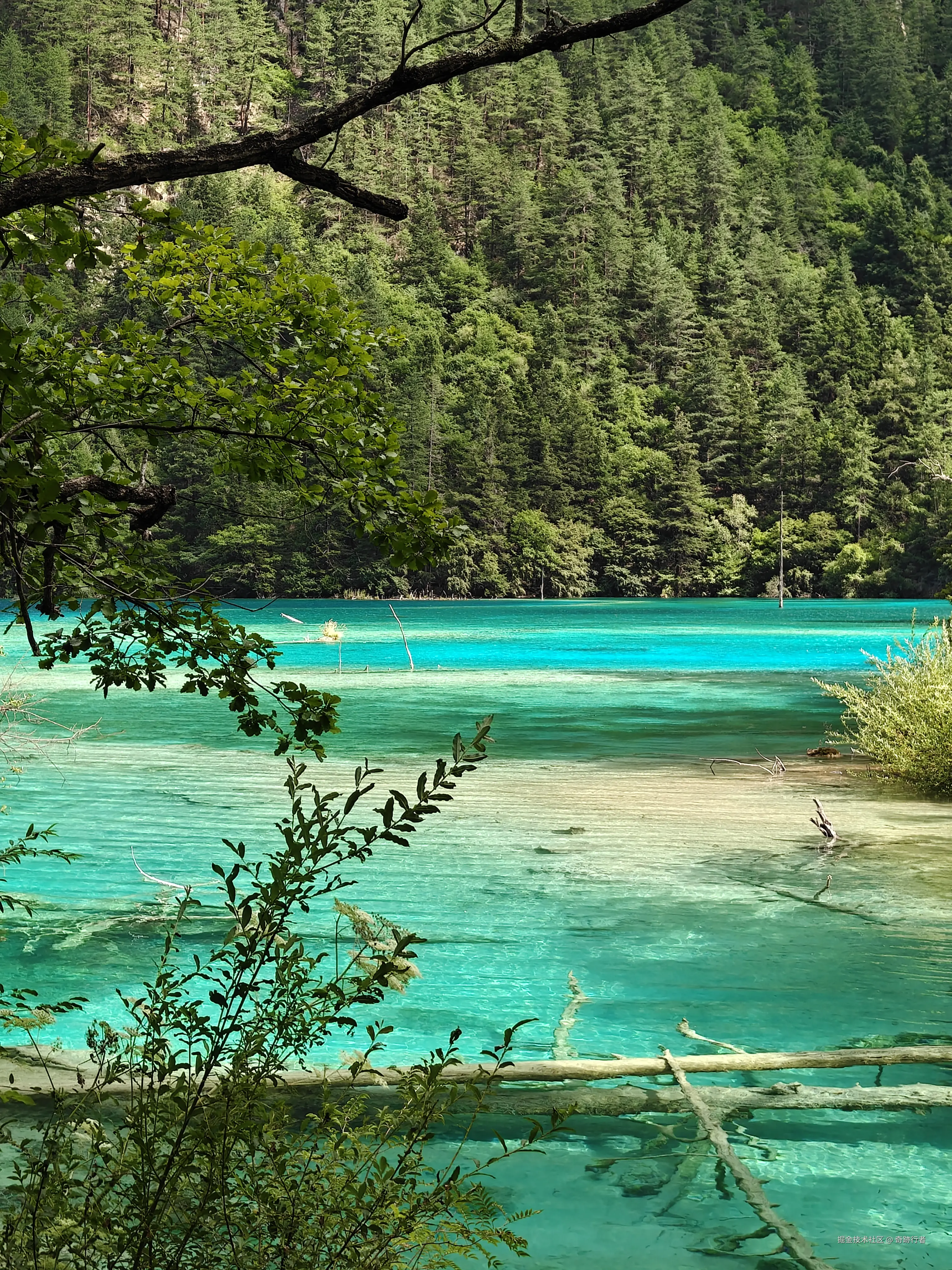 奇跡行者于2025-08-18 14:48发布的图片