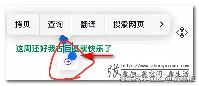 张鑫旭于2024-11-17 22:20发布的图片