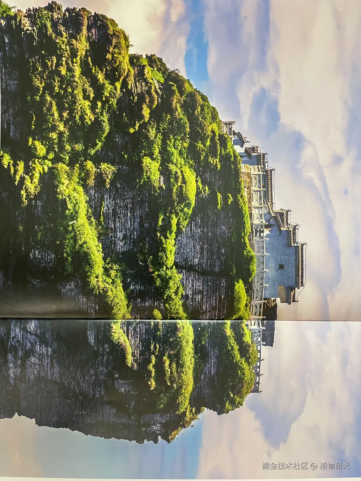 植物昂光于2026-04-06 16:14发布的图片