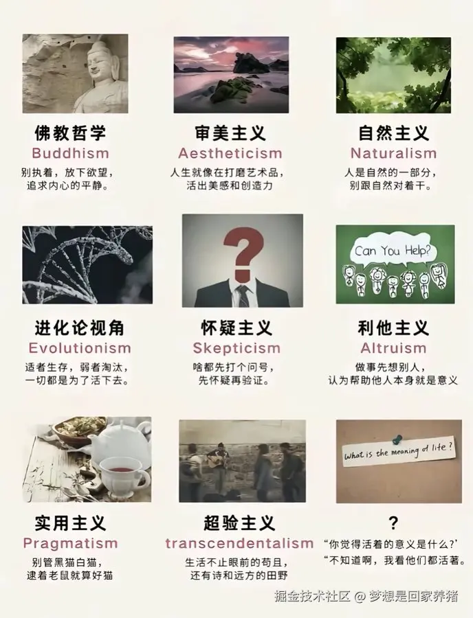 梦想是回家养猪于2025-11-11 10:40发布的图片