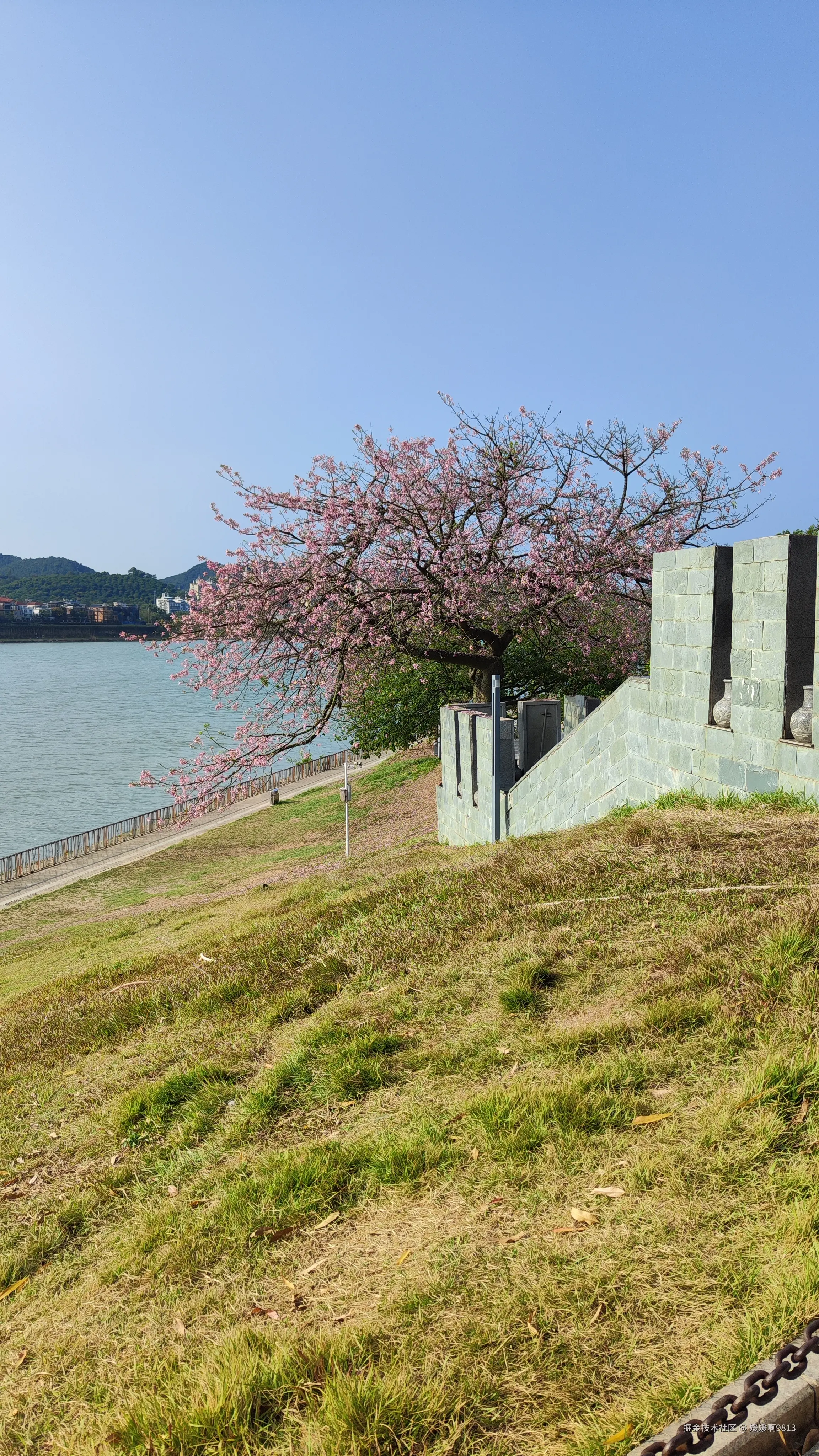 媛媛啊9813于2024-10-21 07:22发布的图片