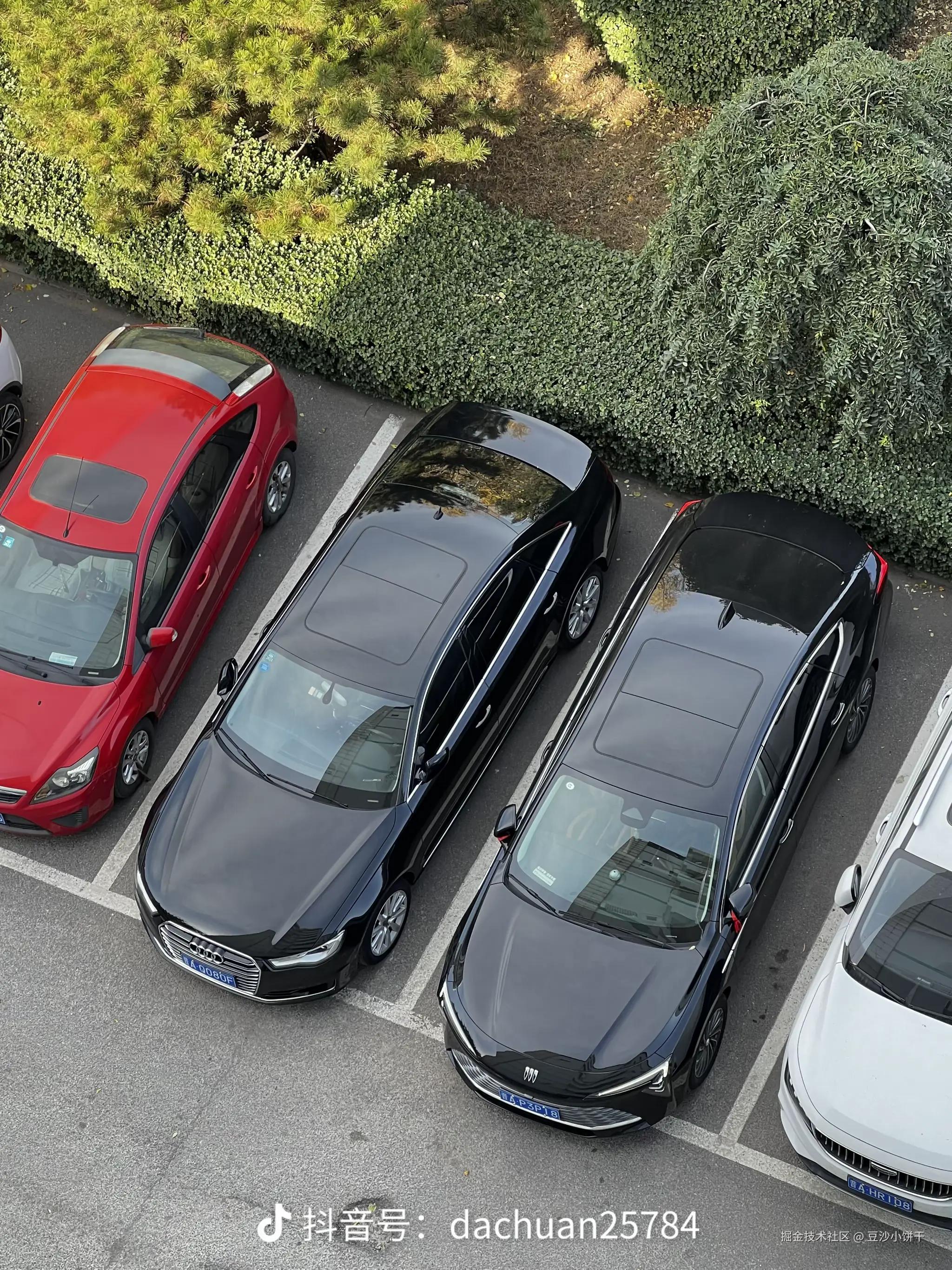 豆沙小饼干于2025-02-07 16:31发布的图片