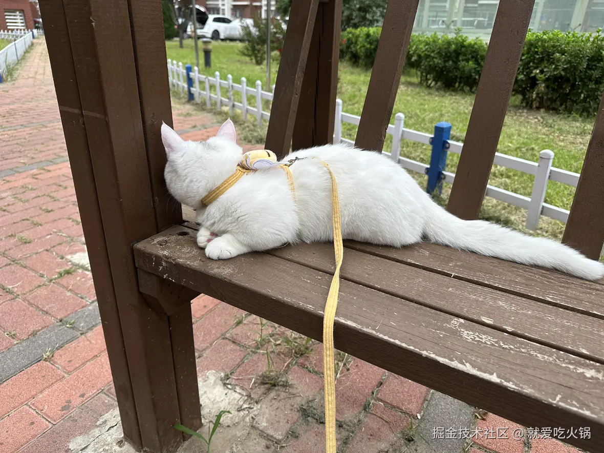 就爱吃火锅于2025-07-21 14:06发布的图片