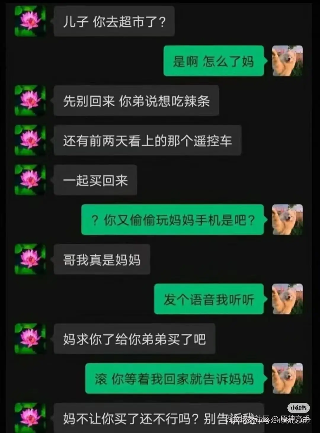原神高手于2026-04-16 10:33发布的图片